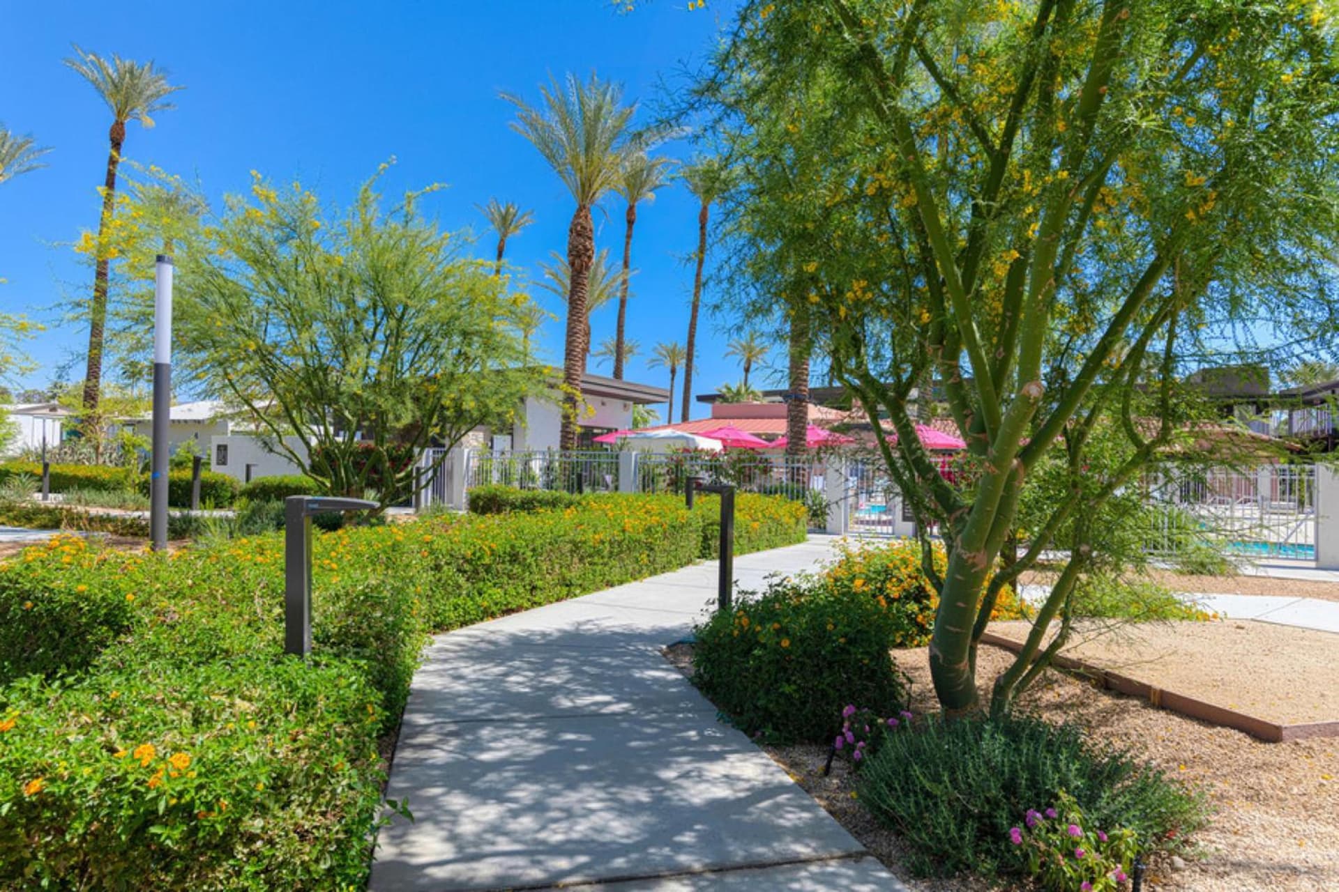 The Paloma Resort gallery photo in Palm Springs, CA — image 33