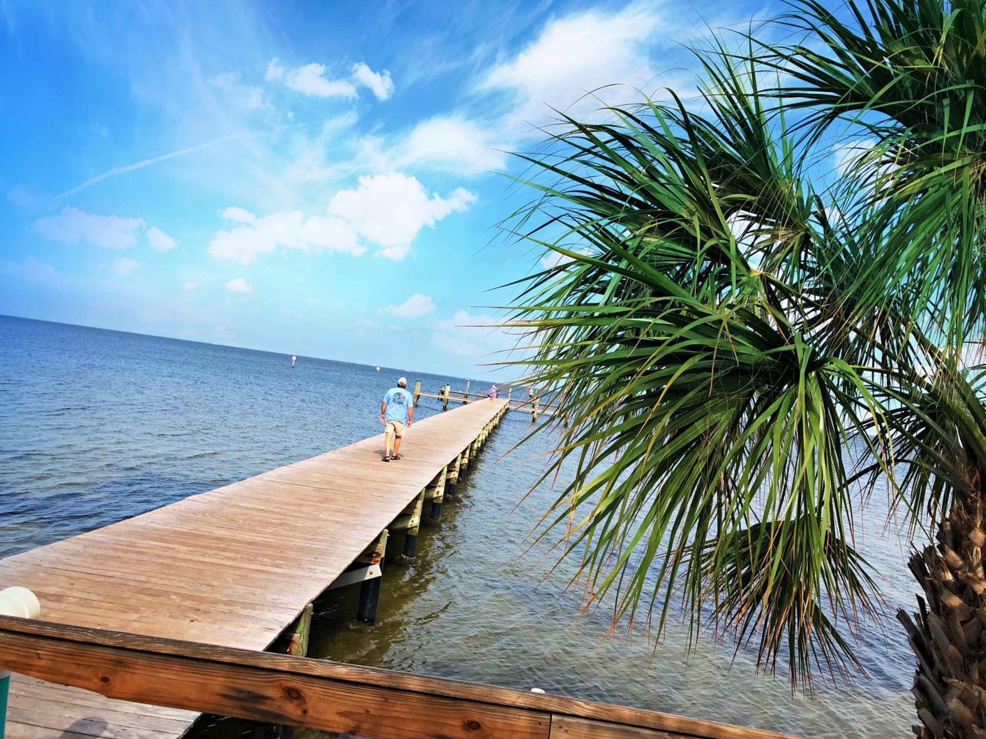 Little Harbor #205 the place to stay gallery photo in Ruskin, FL — image 10