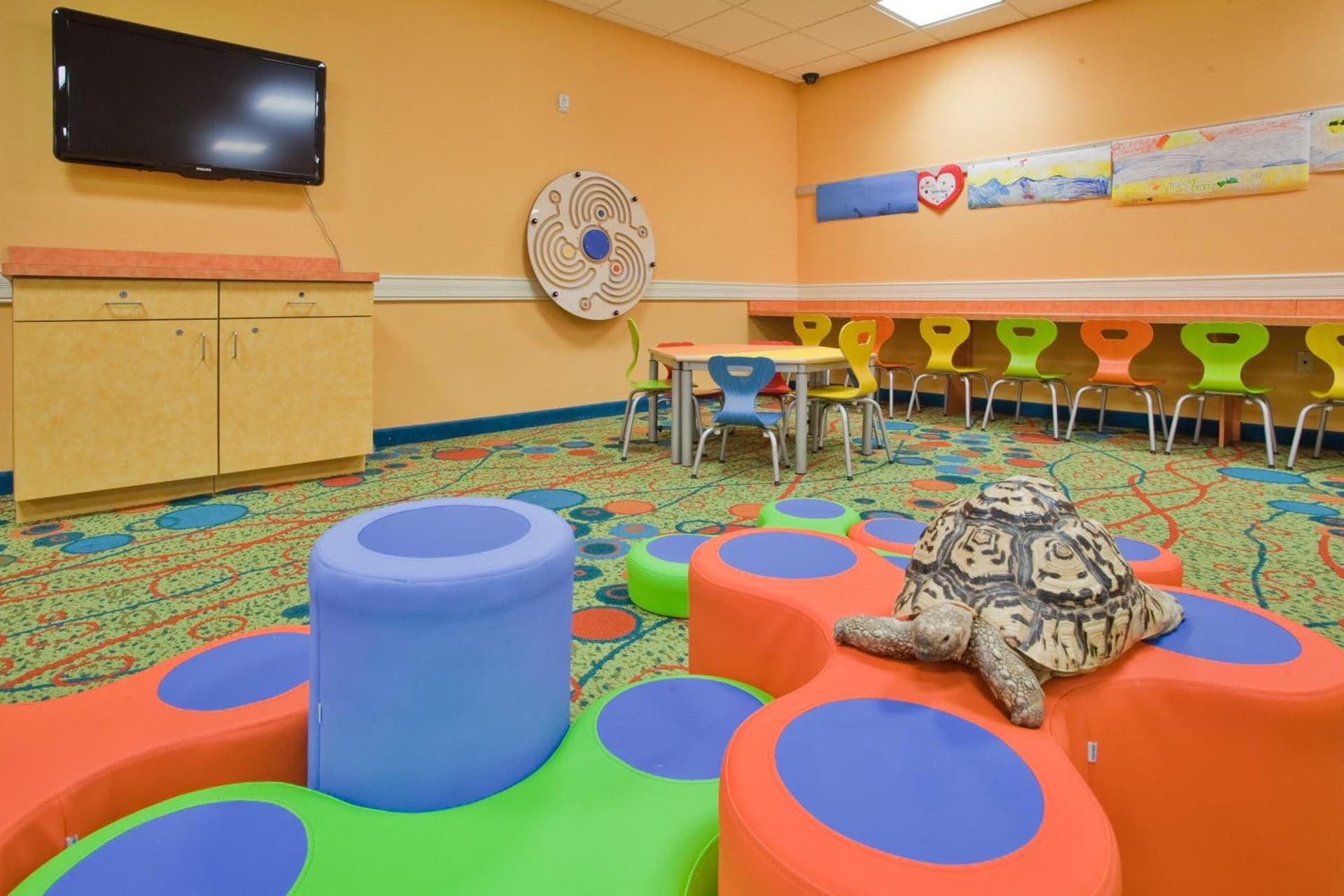 Holiday Inn & Suites Virginia Beach - North Beach by IHG gallery photo in Virginia Beach, VA — image 6