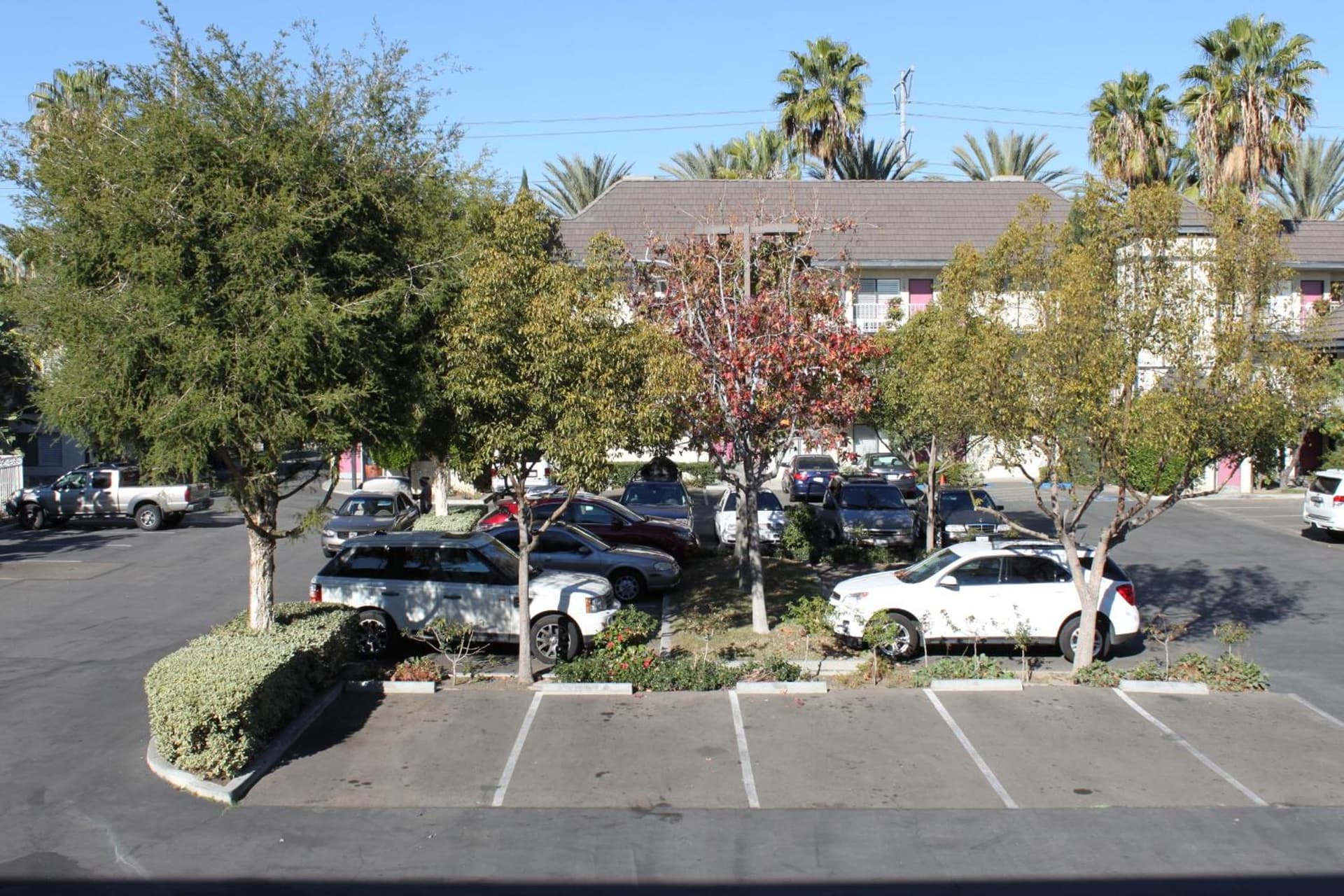 Alamo Inn and Suites - Convention Center gallery photo in Anaheim, CA — image 16