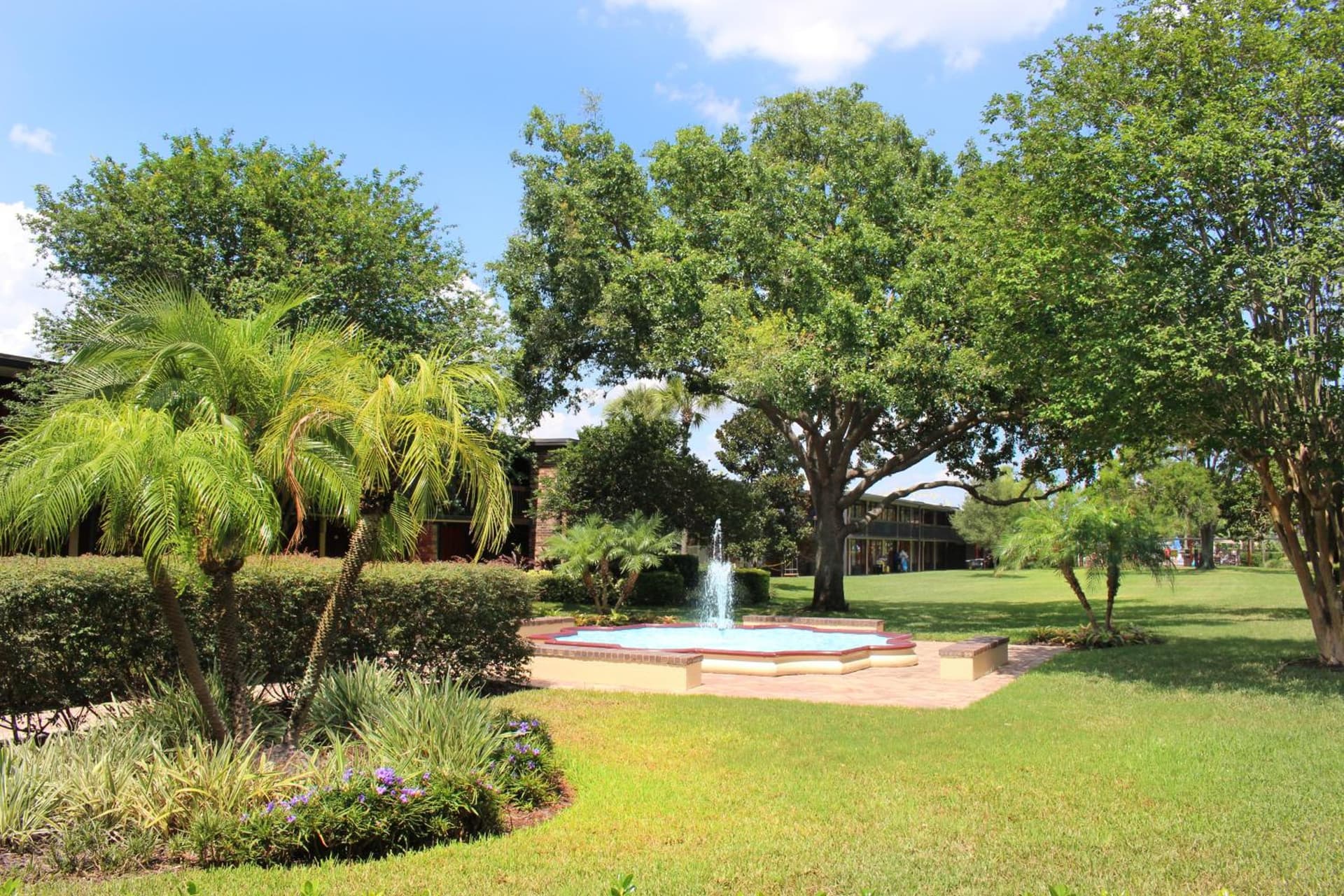 Rosen Inn International Near The Parks gallery photo in Orlando, FL — image 32