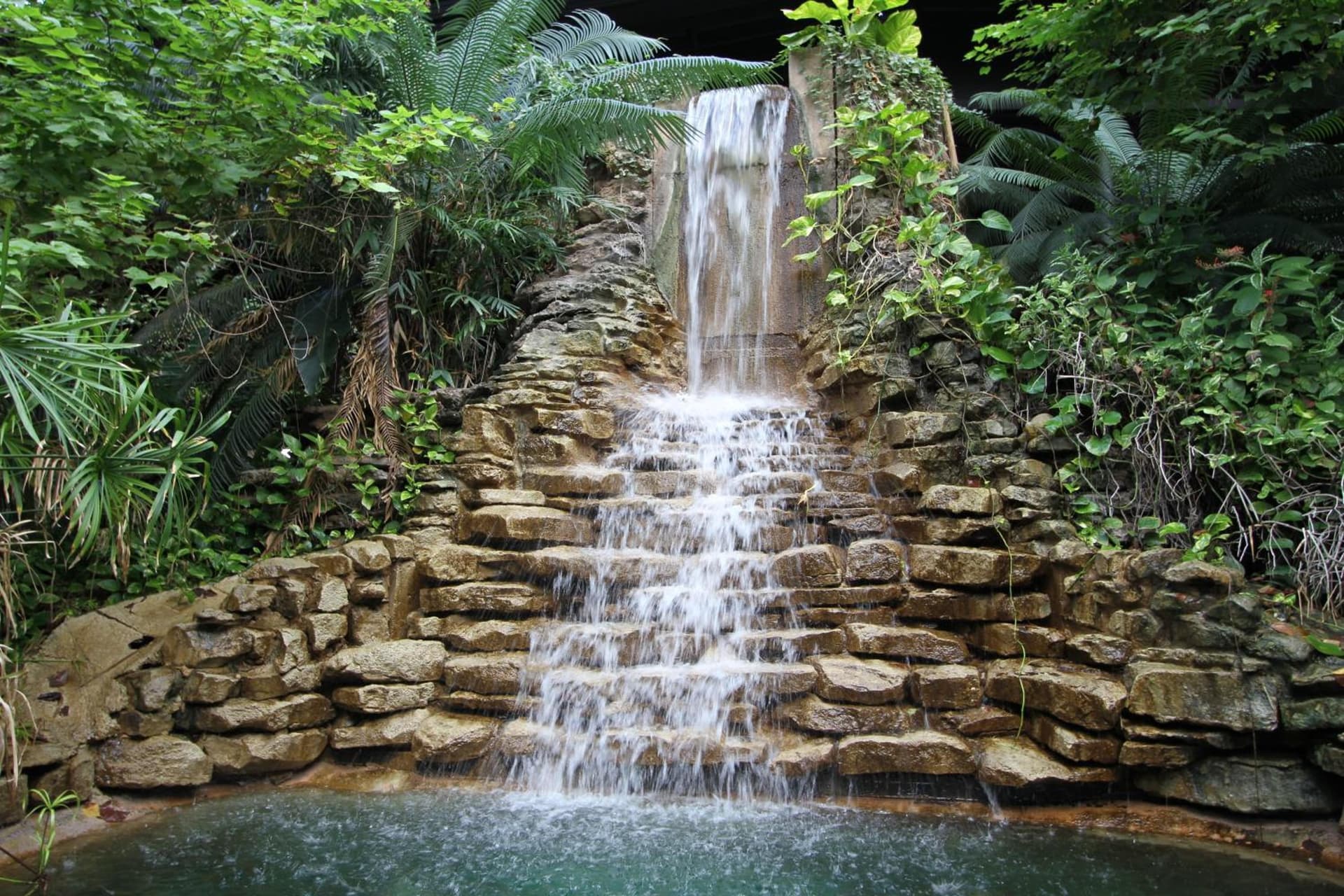 Family Garden Inn & Suites gallery photo in Laredo, TX — image 10