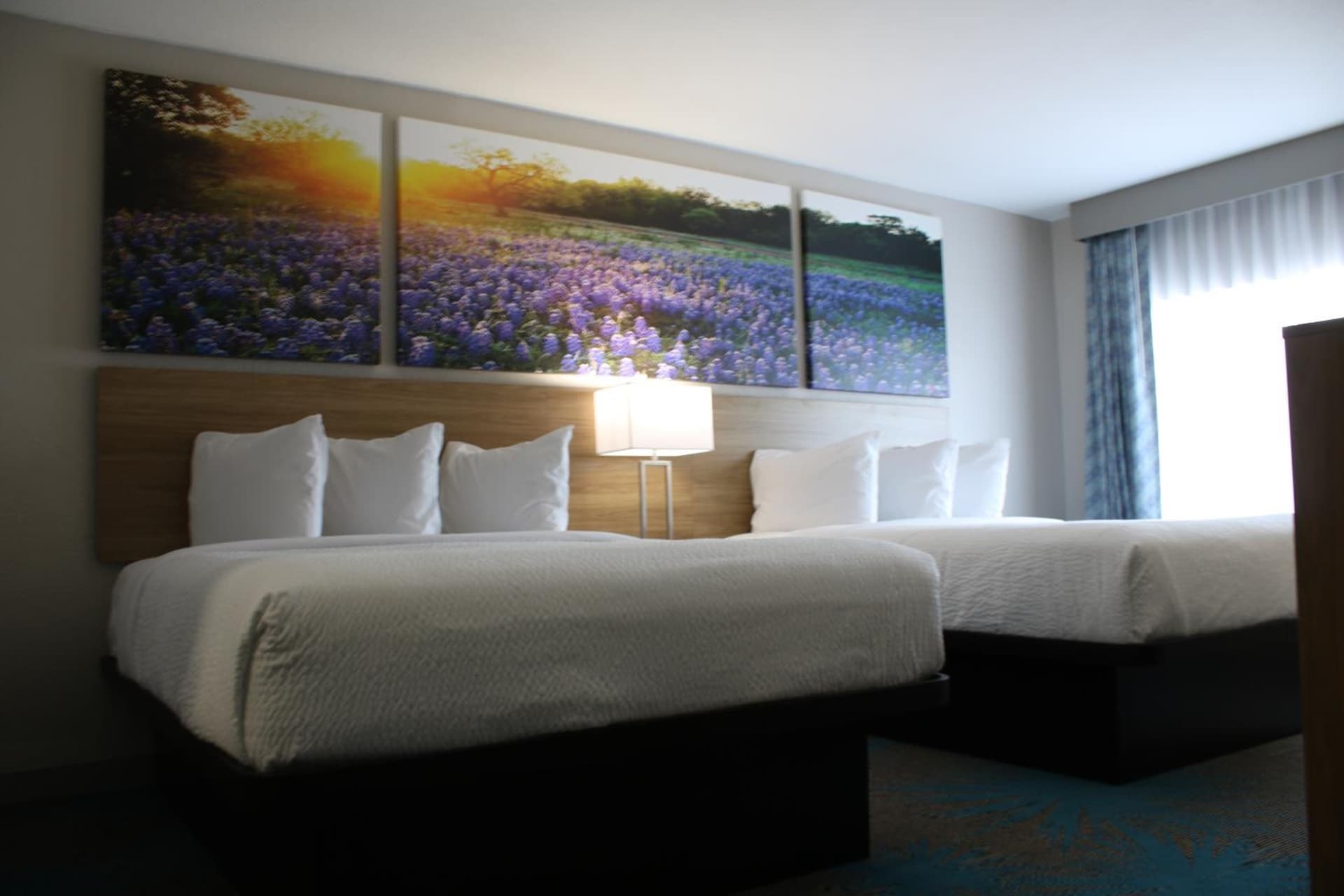 Days Inn by Wyndham Waco University Area gallery photo in Waco, TX — image 23