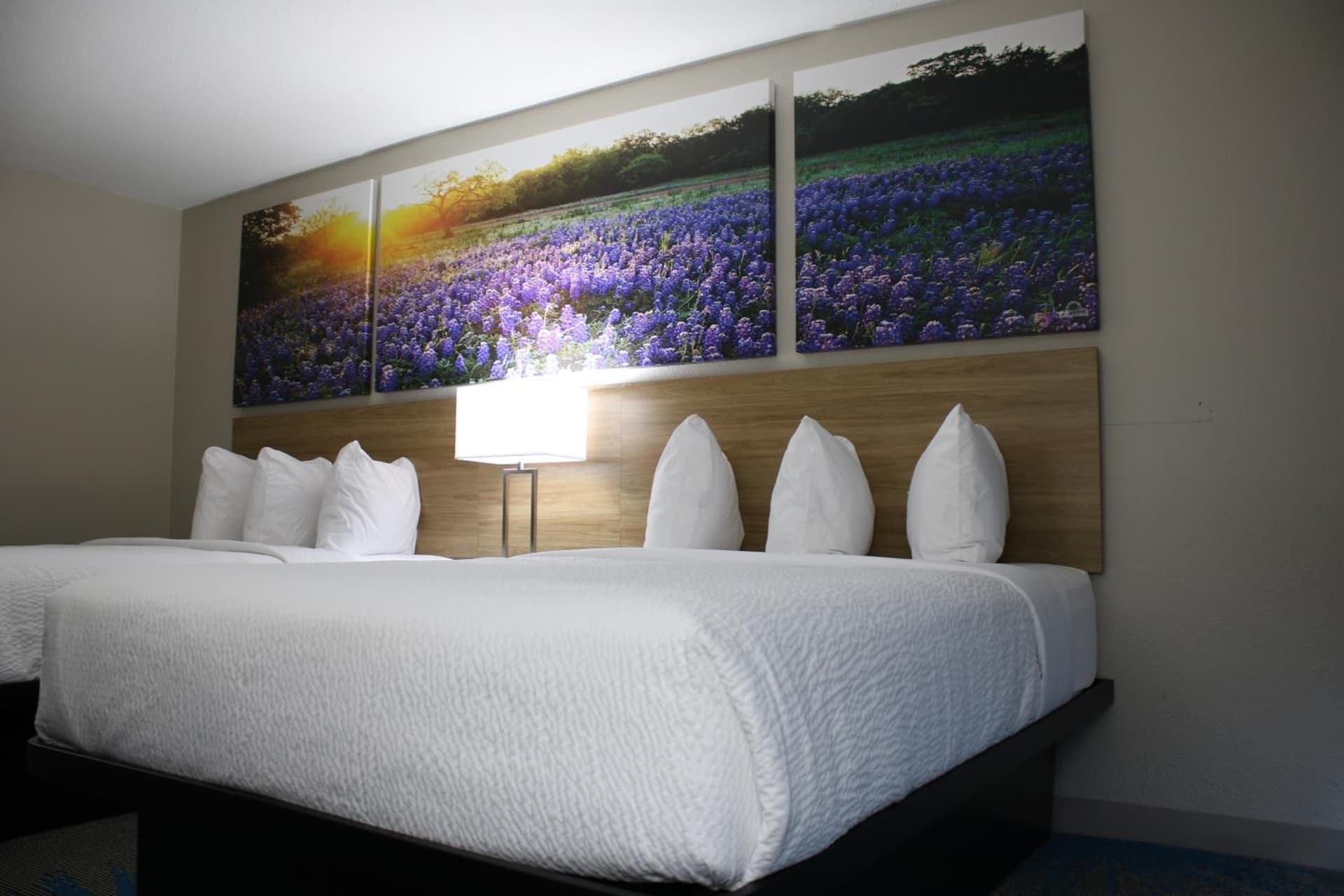Days Inn by Wyndham Waco University Area gallery photo in Waco, TX — image 56