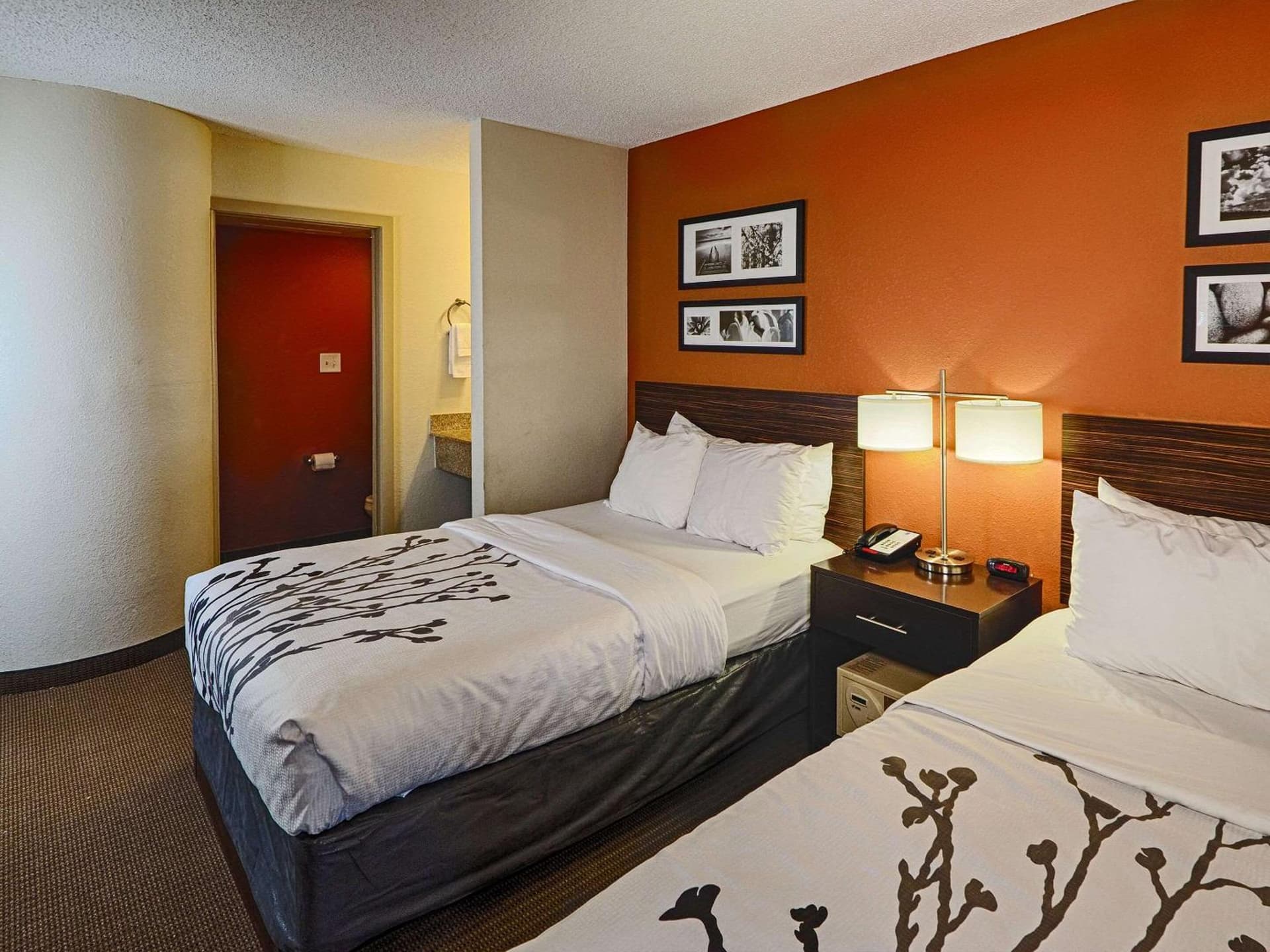 Sleep Inn & Suites Spring Lake - Fayetteville near Fort Bragg gallery photo in Spring Lake, NC — image 27