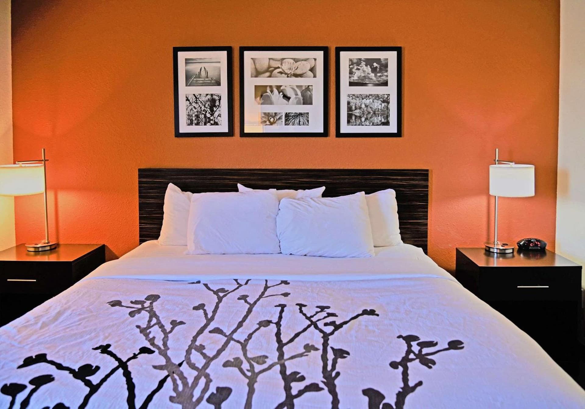 Sleep Inn & Suites Spring Lake - Fayetteville near Fort Bragg gallery photo in Spring Lake, NC — image 6