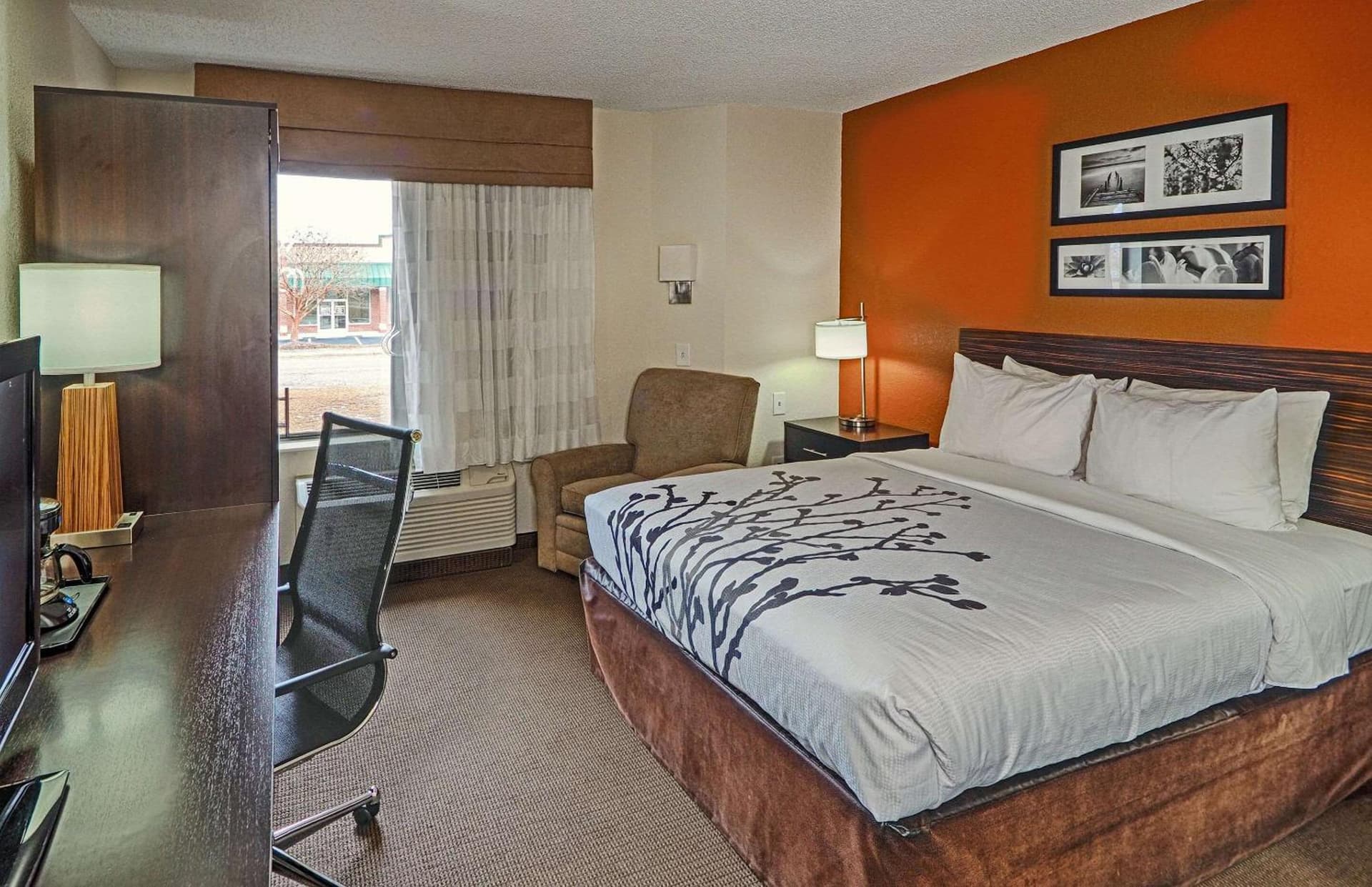 Sleep Inn & Suites Spring Lake - Fayetteville near Fort Bragg gallery photo in Spring Lake, NC — image 17