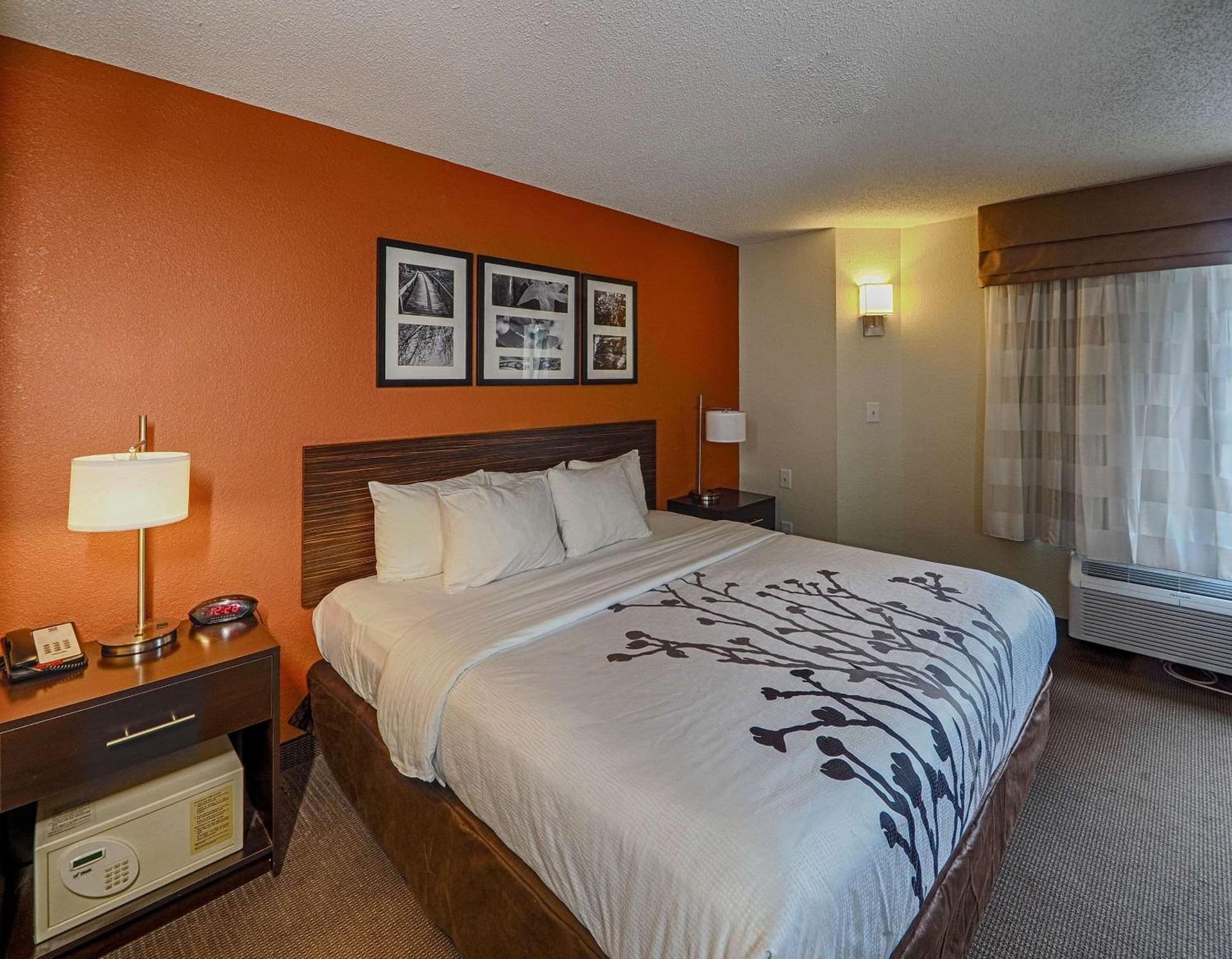 Sleep Inn & Suites Spring Lake - Fayetteville near Fort Bragg gallery photo in Spring Lake, NC — image 24