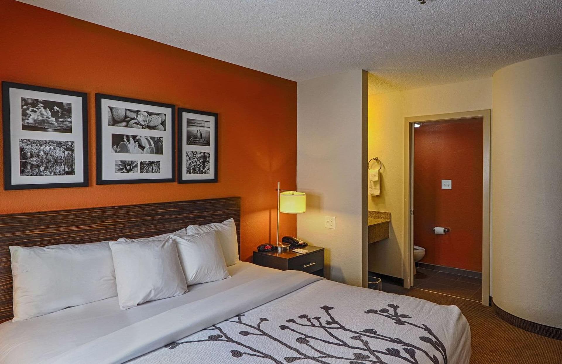 Sleep Inn & Suites Spring Lake - Fayetteville near Fort Bragg gallery photo in Spring Lake, NC — image 8