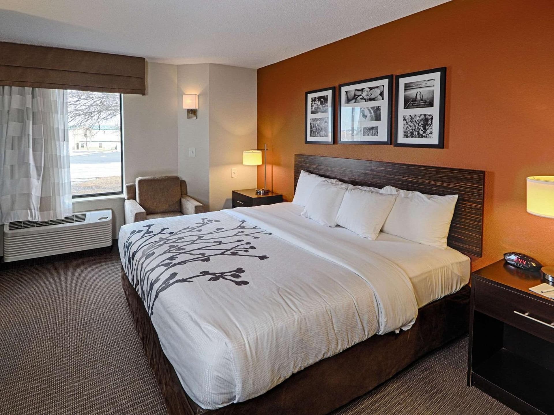 Sleep Inn & Suites Spring Lake - Fayetteville near Fort Bragg gallery photo in Spring Lake, NC — image 26