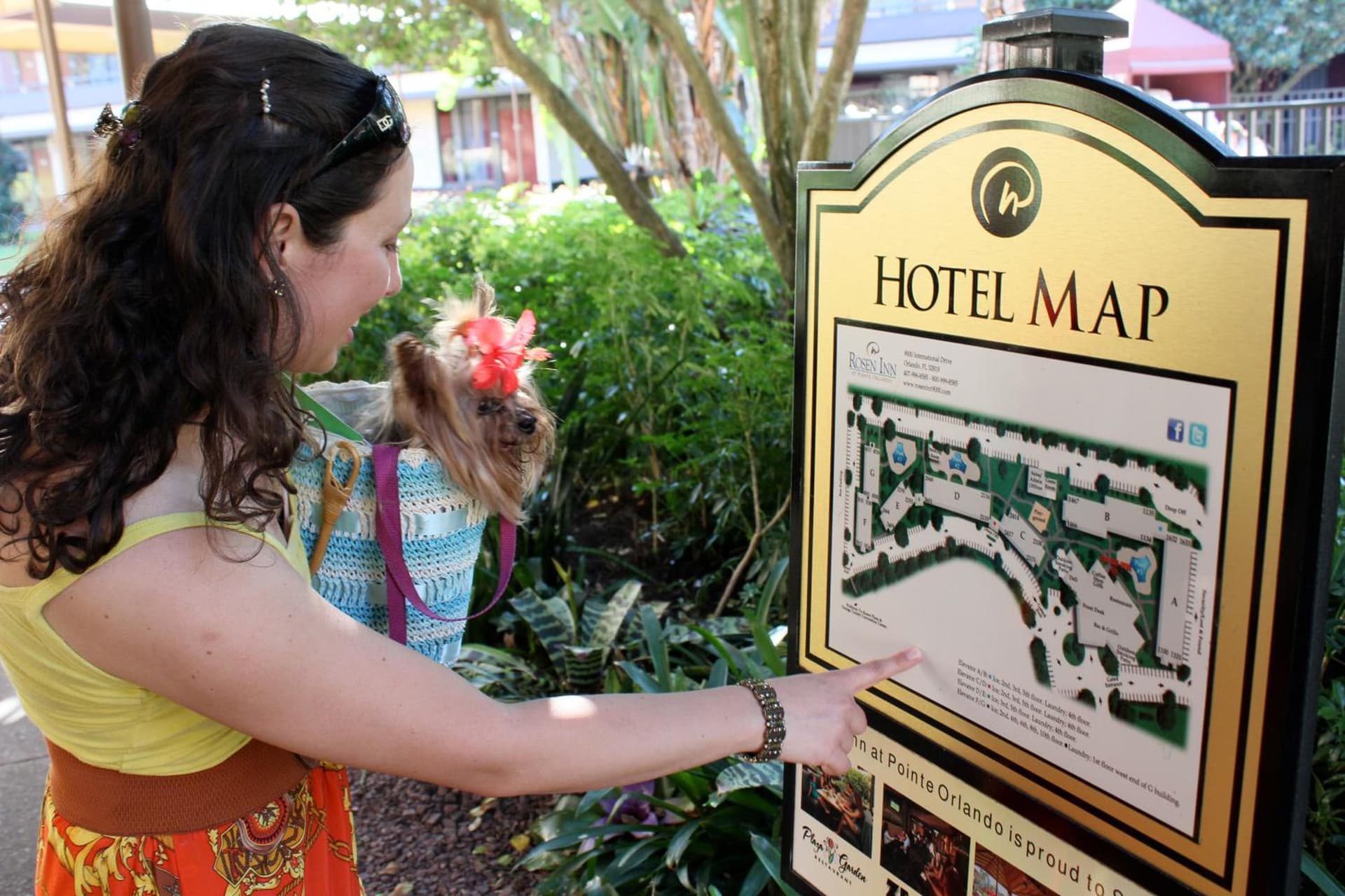 Rosen Inn at Pointe Orlando gallery photo in Orlando, FL — image 12