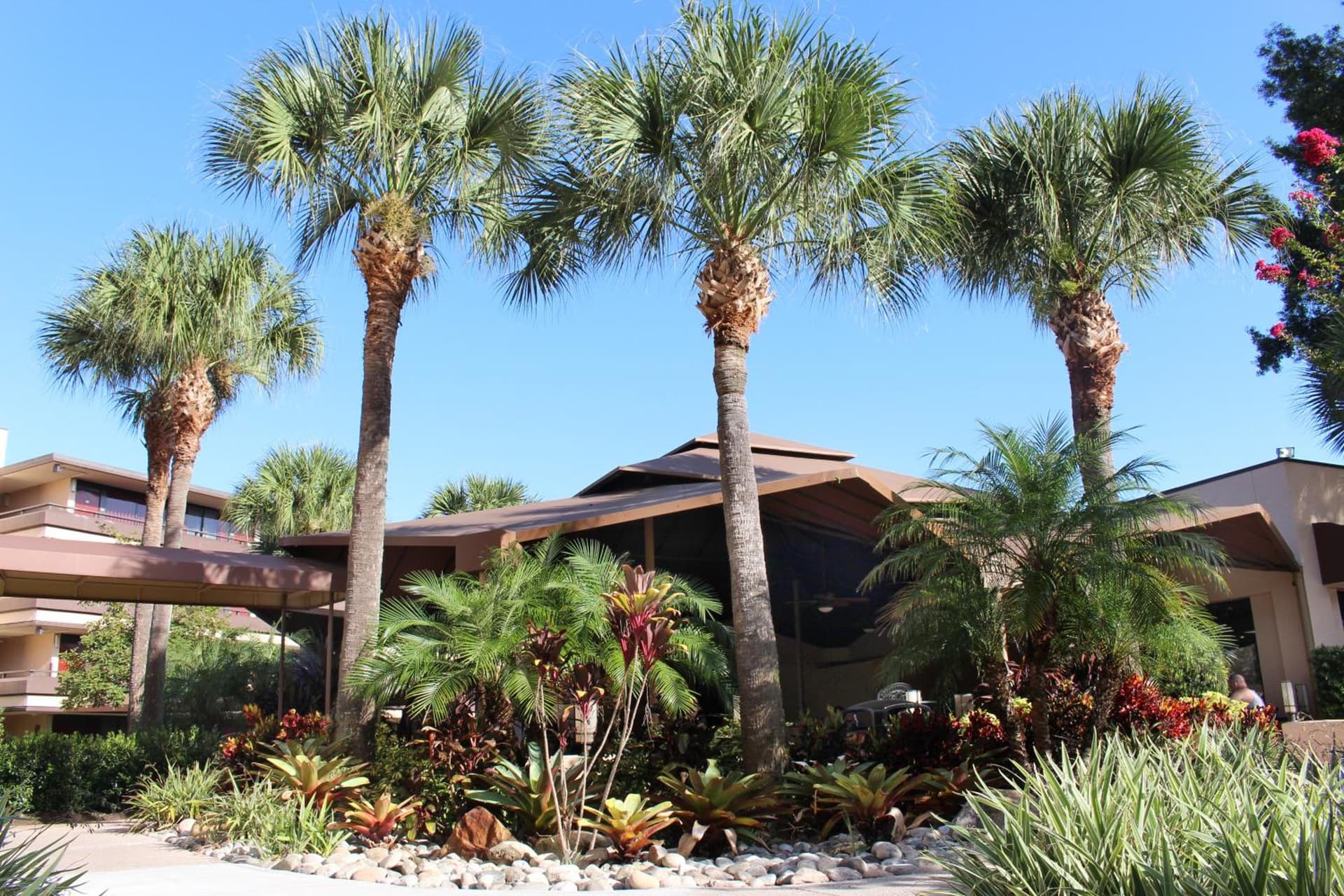 Rosen Inn at Pointe Orlando gallery photo in Orlando, FL — image 43