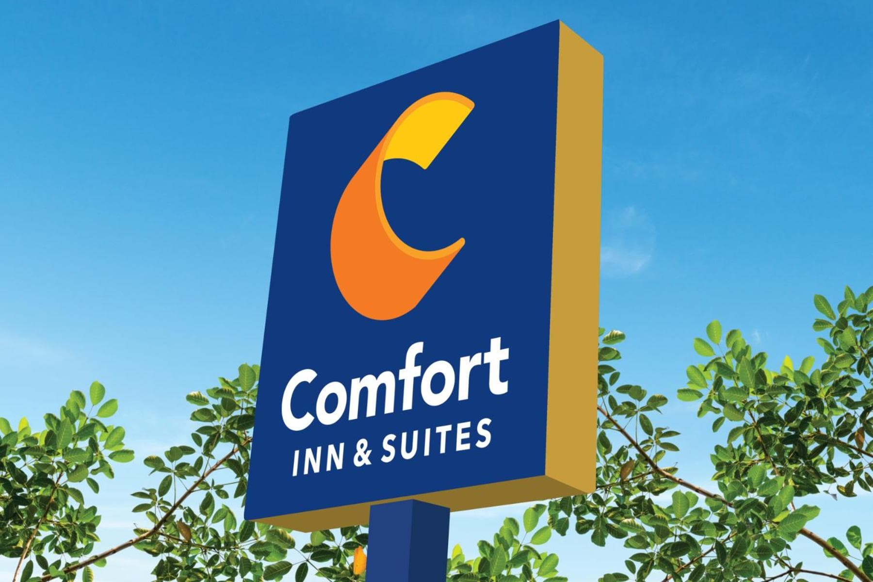 Comfort Inn & Suites Charlottesville Hollymead Town Center gallery photo in Charlottesville, VA — image 20
