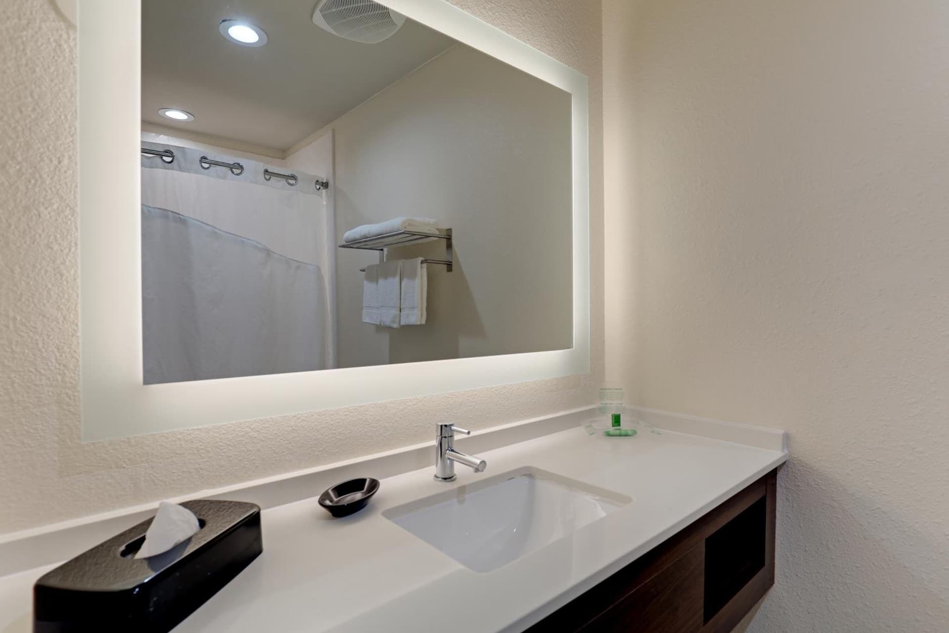 Holiday Inn Mobile Airport by IHG property views in Mobile, AL — gallery photo 3