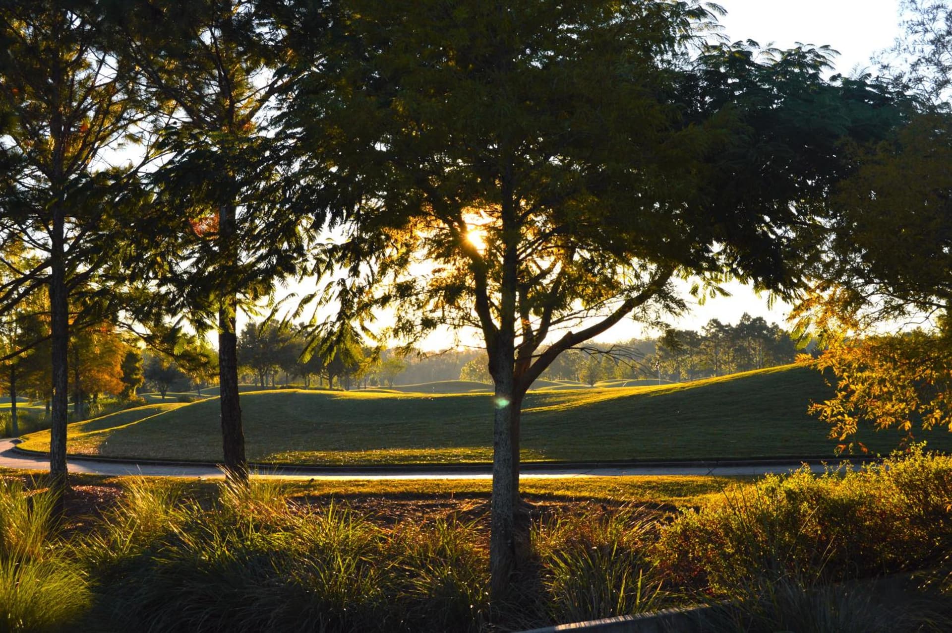 Rosen Shingle Creek Universal Blvd gallery photo in Orlando, FL — image 74