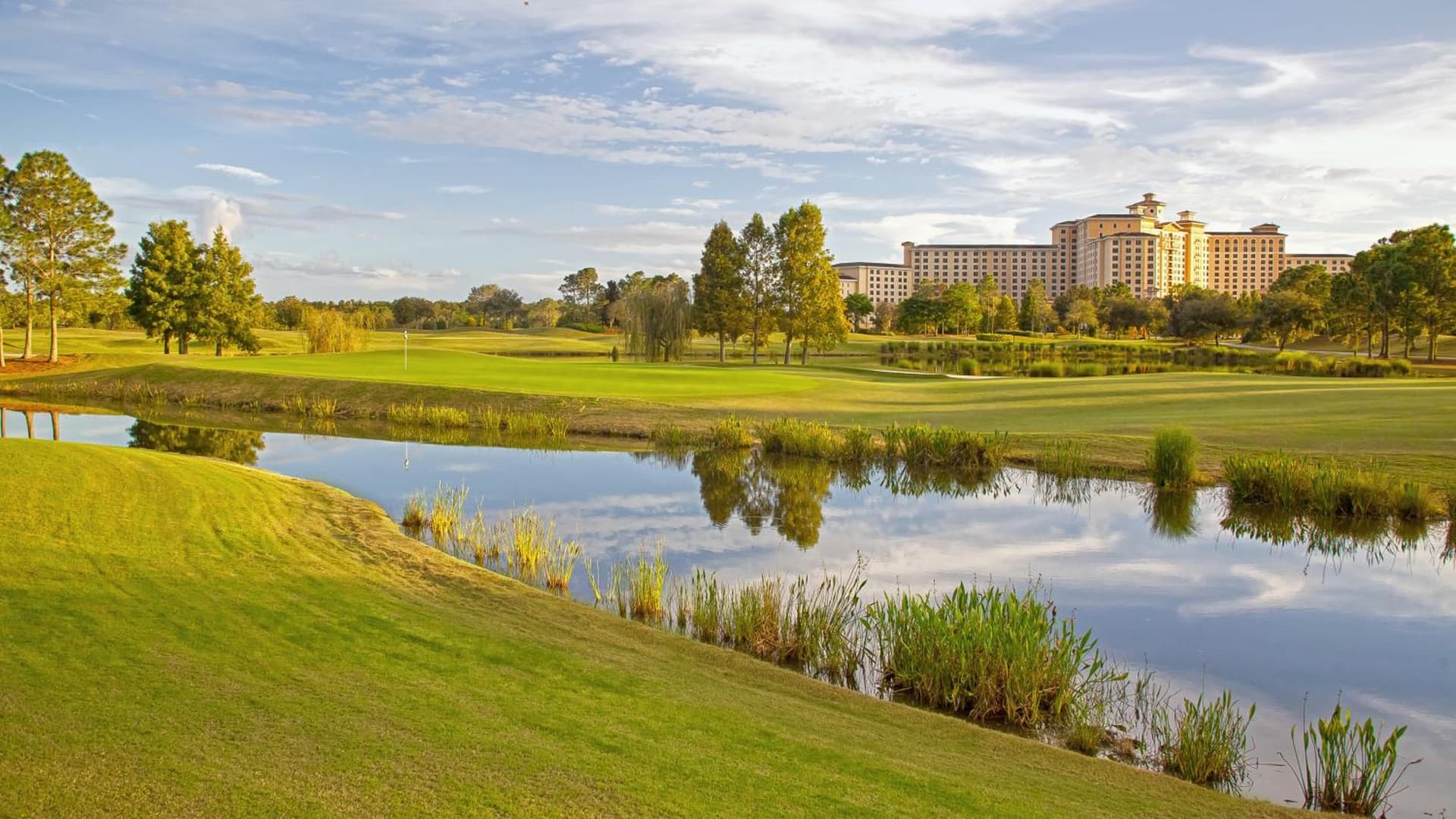 Rosen Shingle Creek Universal Blvd gallery photo in Orlando, FL — image 139