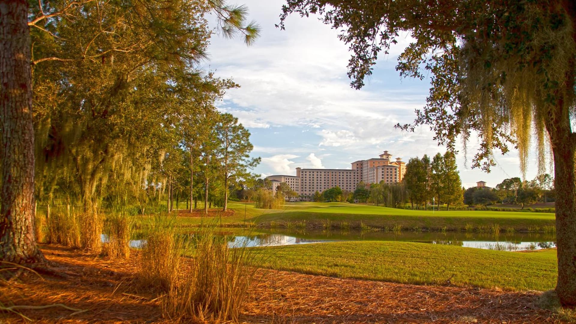 Rosen Shingle Creek Universal Blvd gallery photo in Orlando, FL — image 73