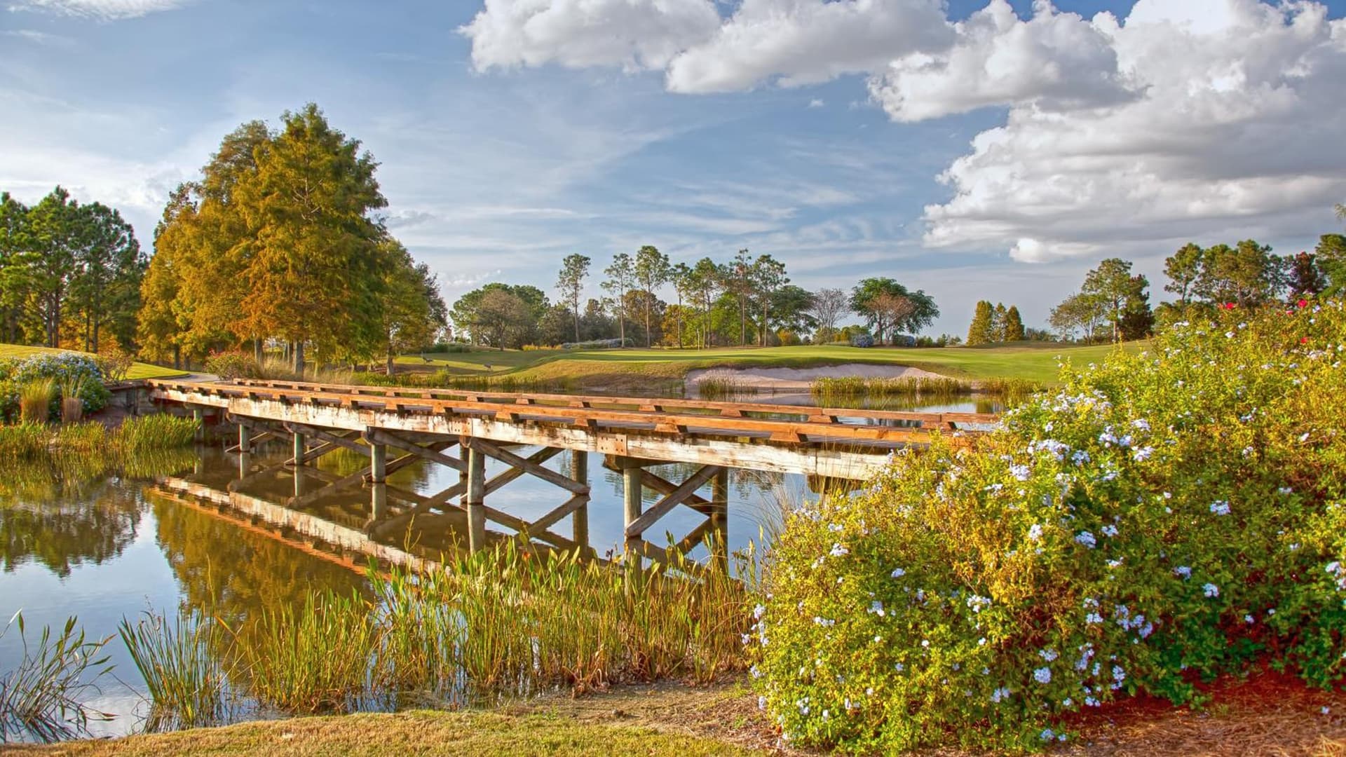 Rosen Shingle Creek Universal Blvd gallery photo in Orlando, FL — image 81