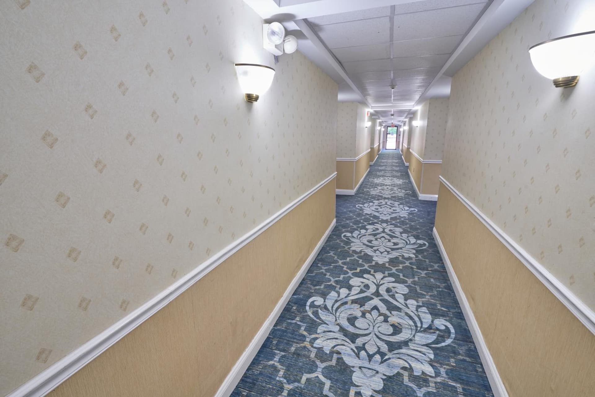 Ambassador Inn and Suites gallery photo in South Yarmouth, MA — image 32