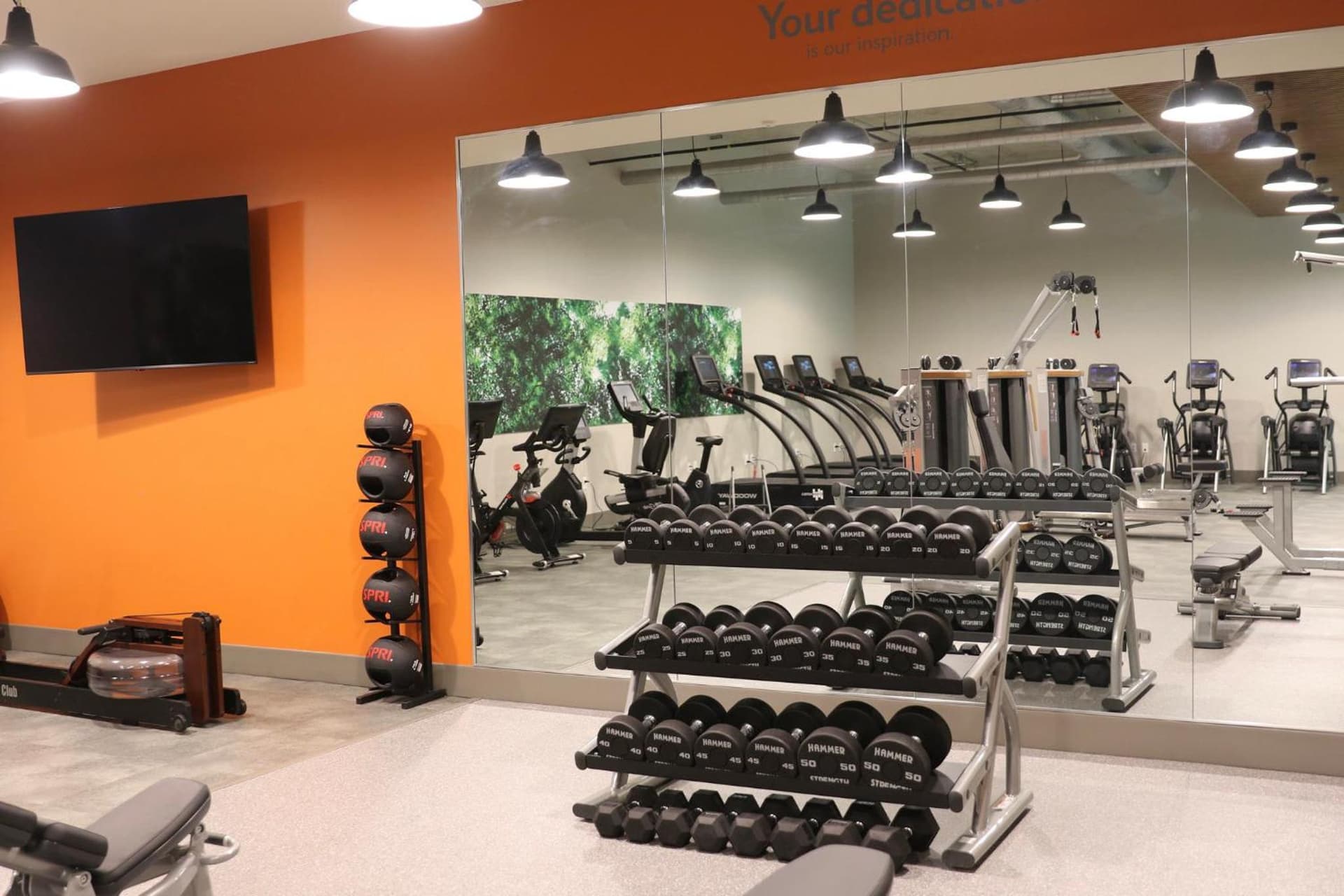 Staybridge Suites Rochester - Mayo Clinic Area by IHG gallery photo in Rochester, MN — image 71