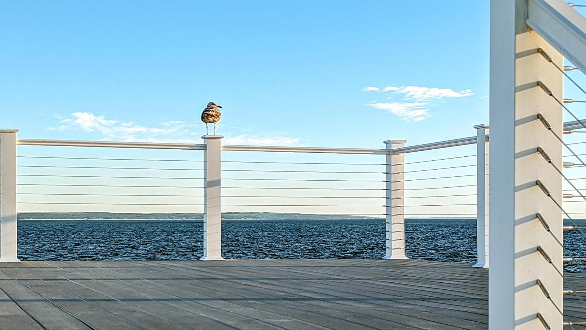 Falmouth Tides gallery photo in Falmouth, MA — image 18