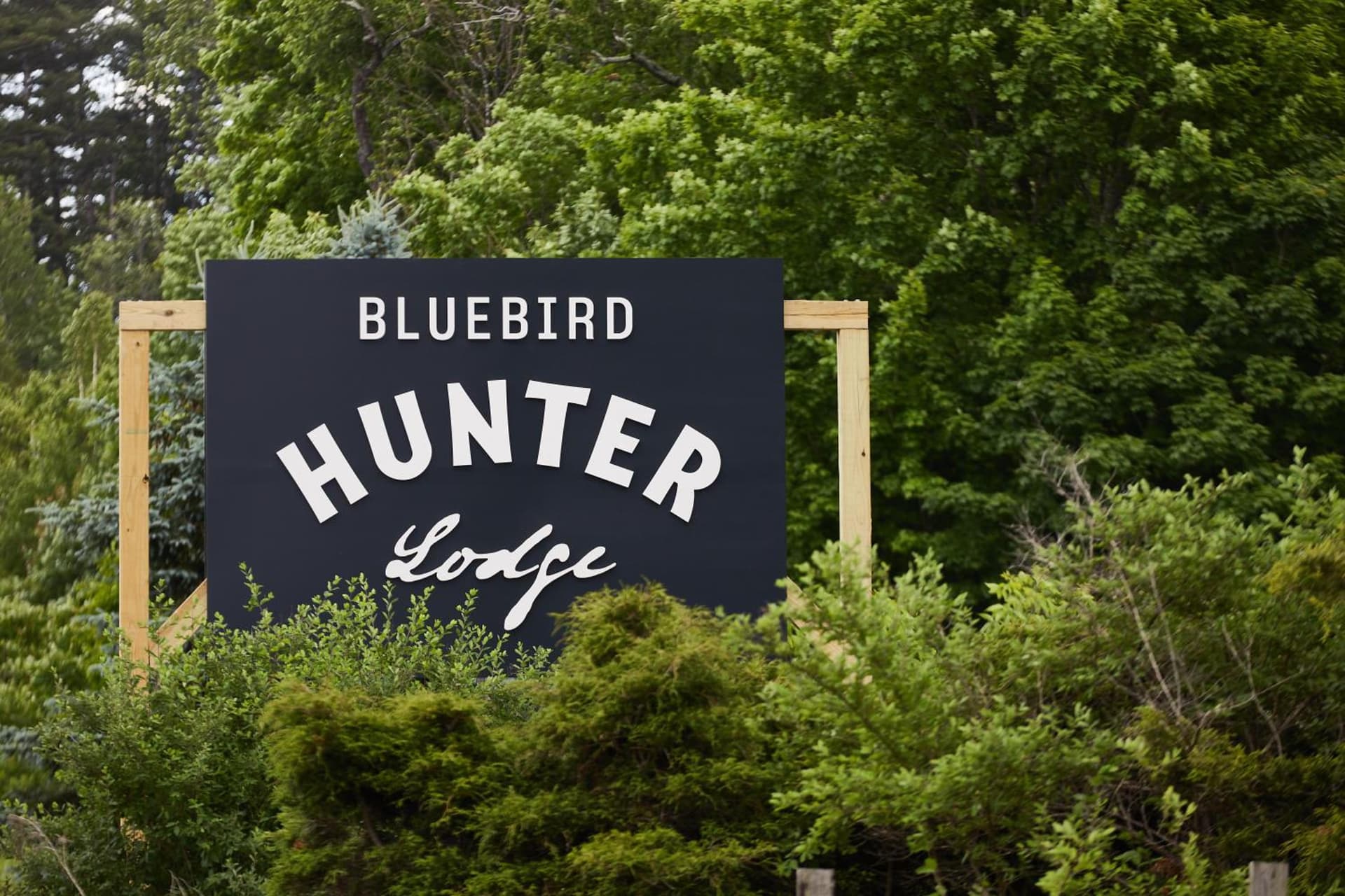 Hunter Lodge, a Bluebird by Lark gallery photo in Hunter — image 11