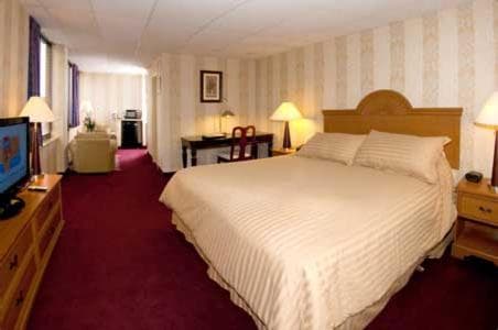 Amsterdam Hotel gallery photo in Stamford, CT — image 10
