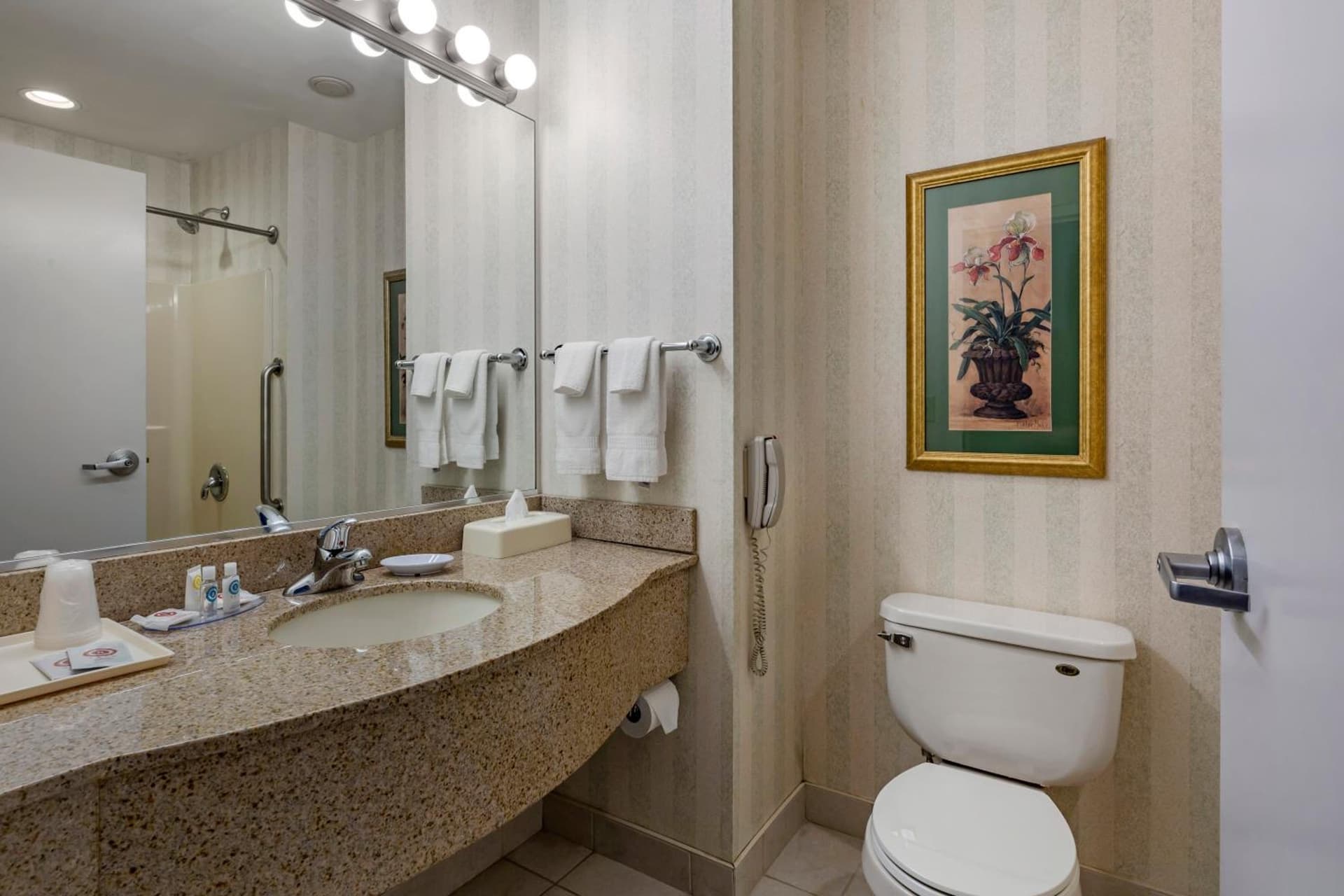 Comfort Inn & Suites East Greenbush - Albany gallery photo in East Greenbush, NY — image 45