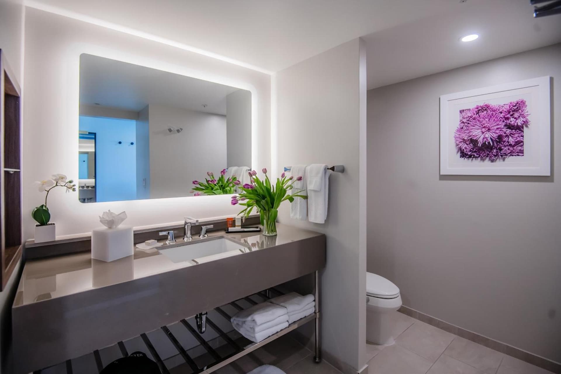 Hotel Madera gallery photo in Washington, DC — image 25