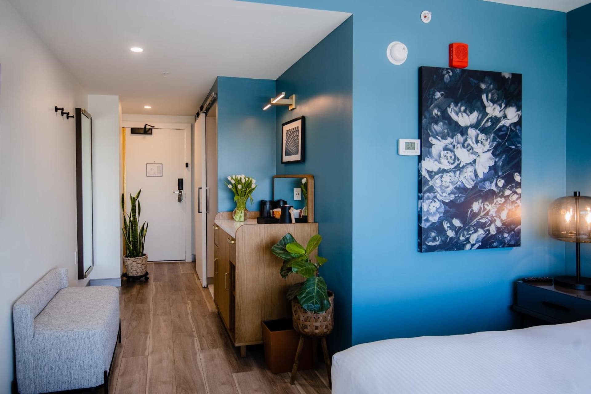 Hotel Madera gallery photo in Washington, DC — image 55