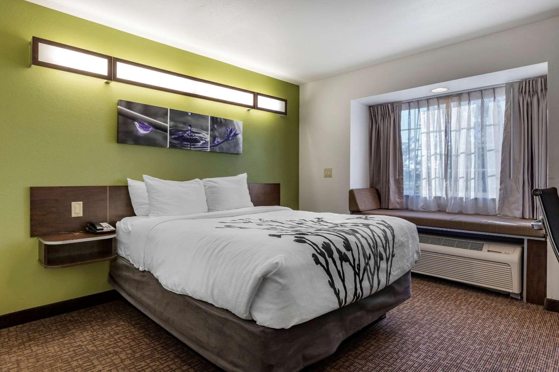 Sleep Inn & Suites Kalamazoo Southwest gallery photo in Kalamazoo, MI — image 26