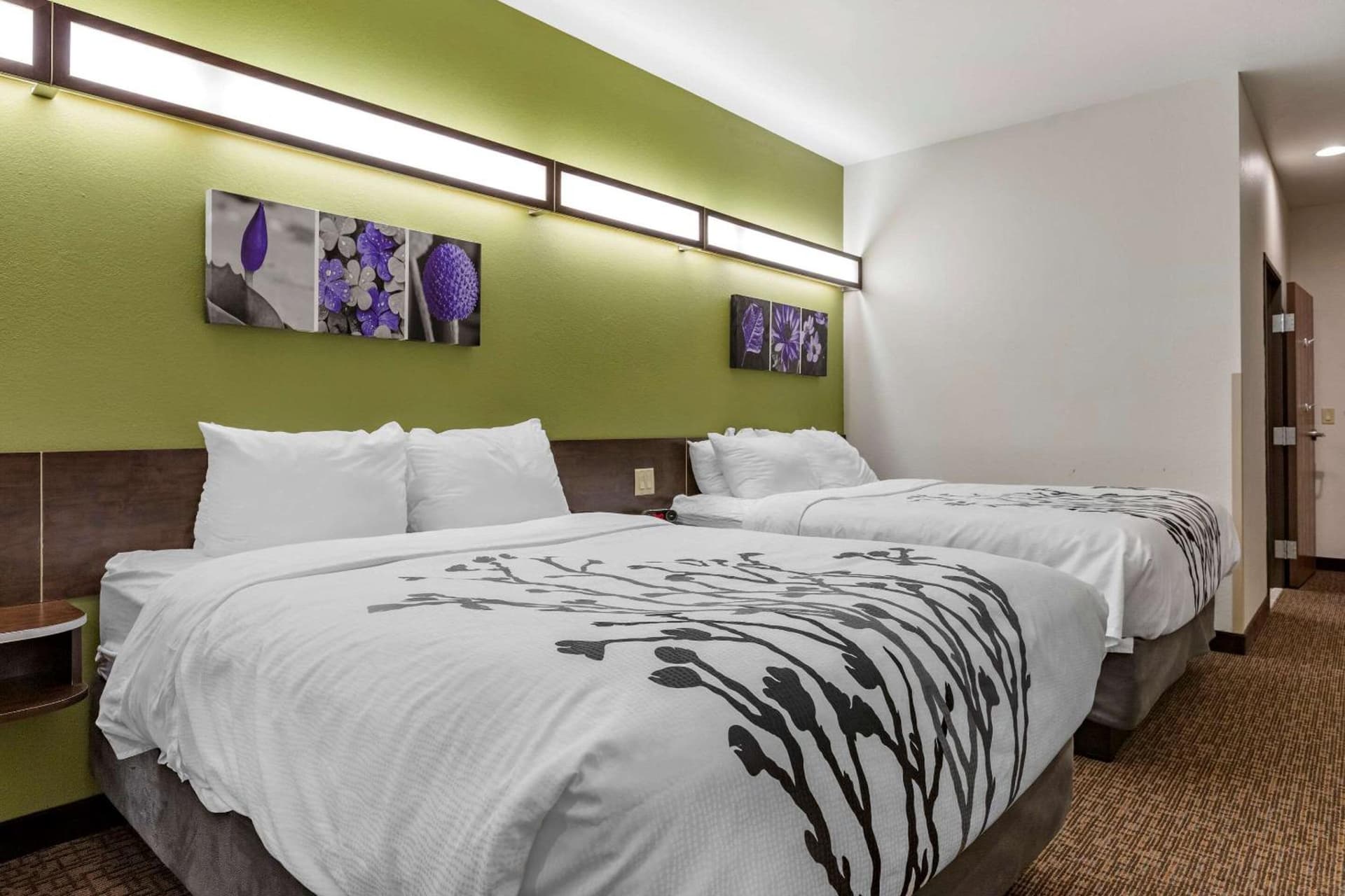 Sleep Inn & Suites Kalamazoo Southwest gallery photo in Kalamazoo, MI — image 33