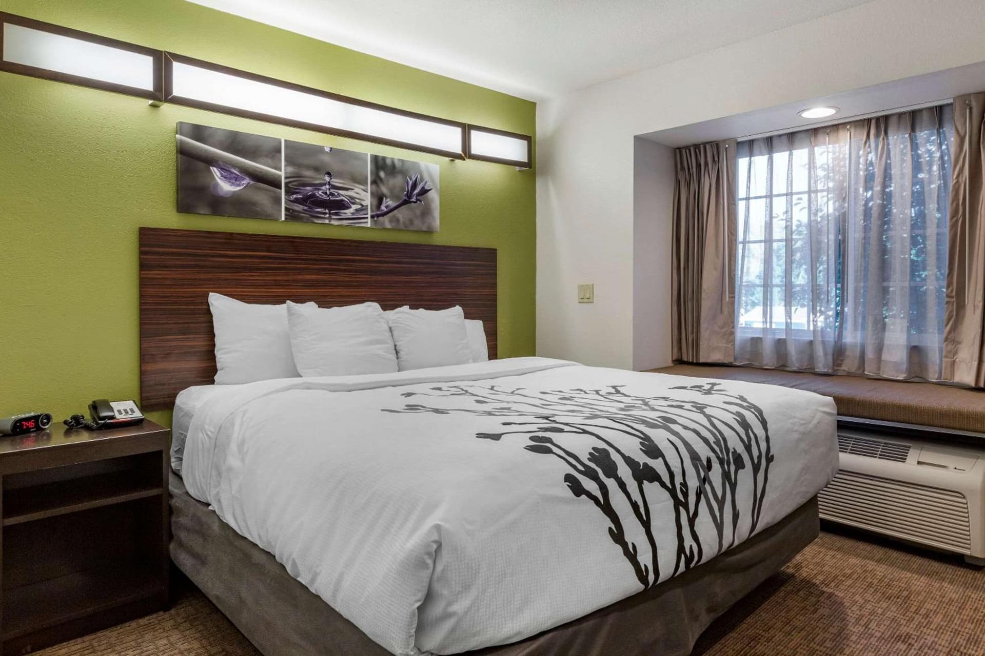 Sleep Inn & Suites Kalamazoo Southwest gallery photo in Kalamazoo, MI — image 13