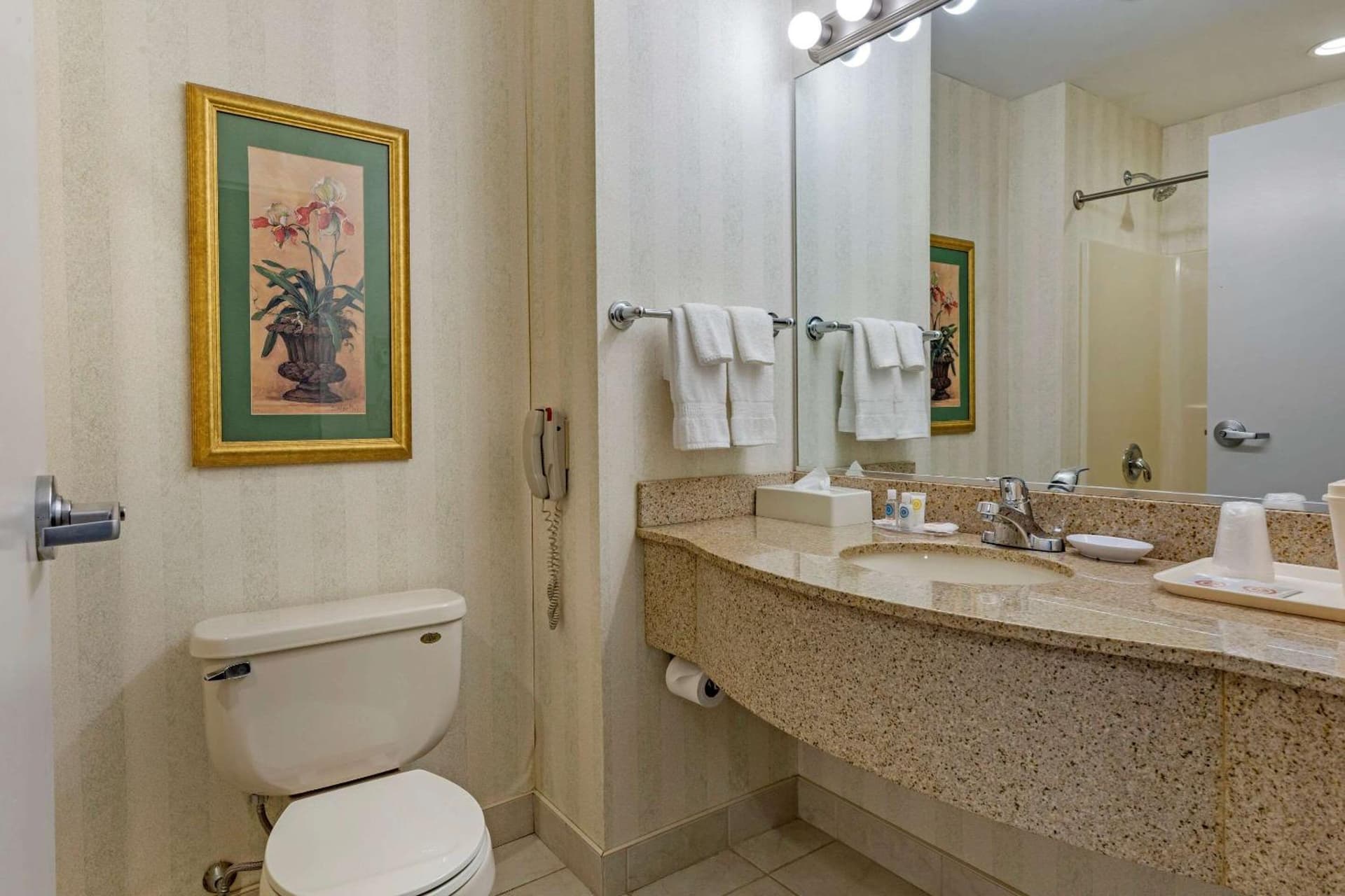 Comfort Inn & Suites East Greenbush - Albany gallery photo in East Greenbush, NY — image 56