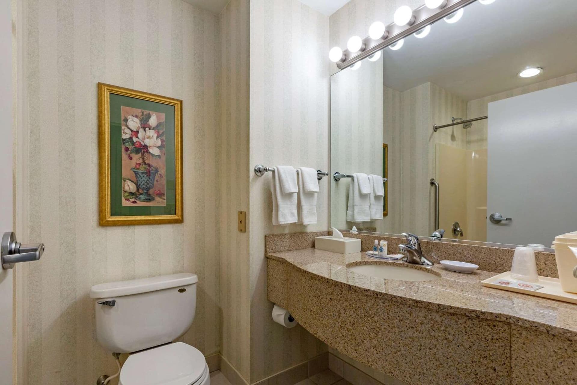 Comfort Inn & Suites East Greenbush - Albany gallery photo in East Greenbush, NY — image 53