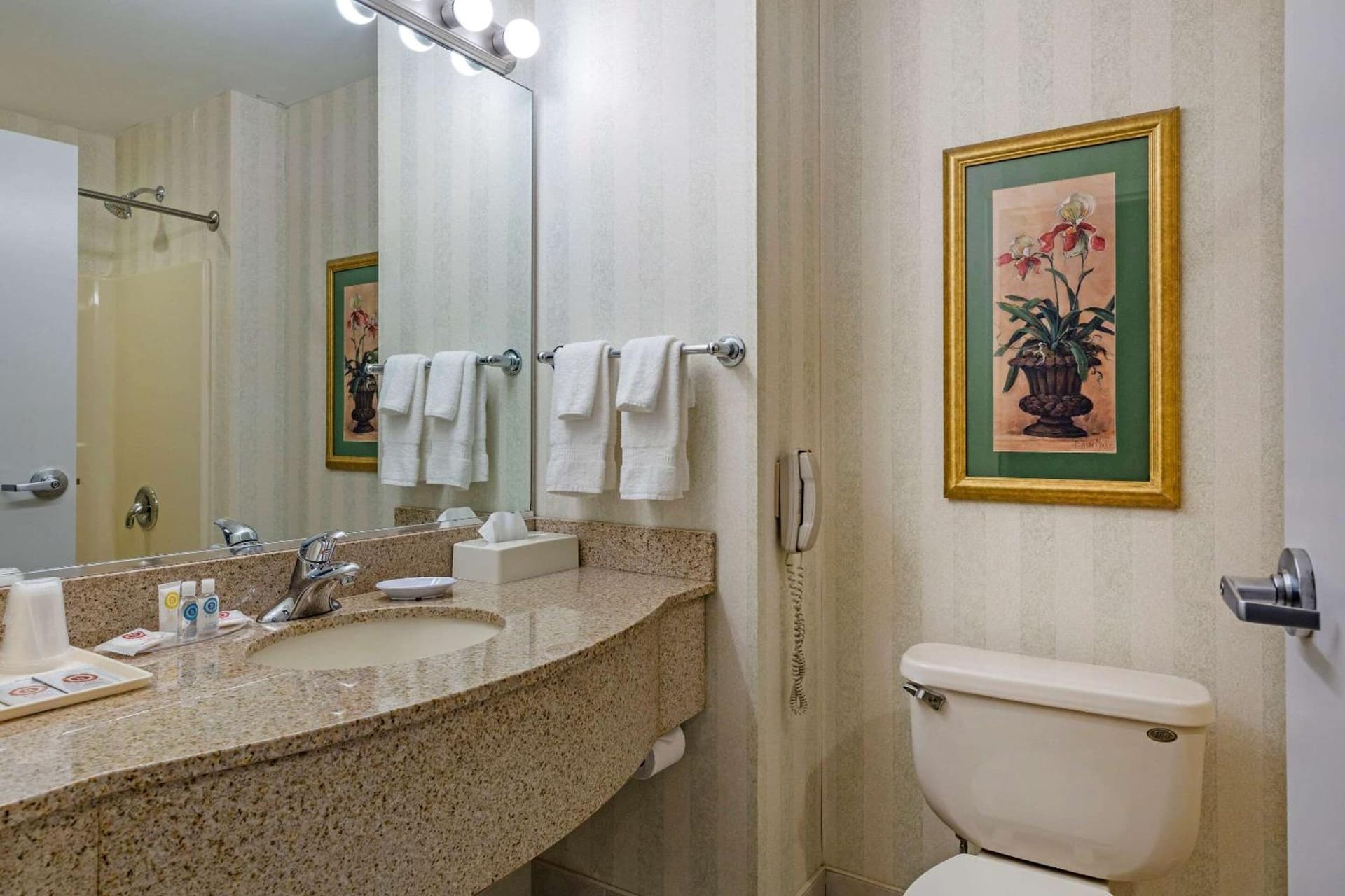 Comfort Inn & Suites East Greenbush - Albany gallery photo in East Greenbush, NY — image 24
