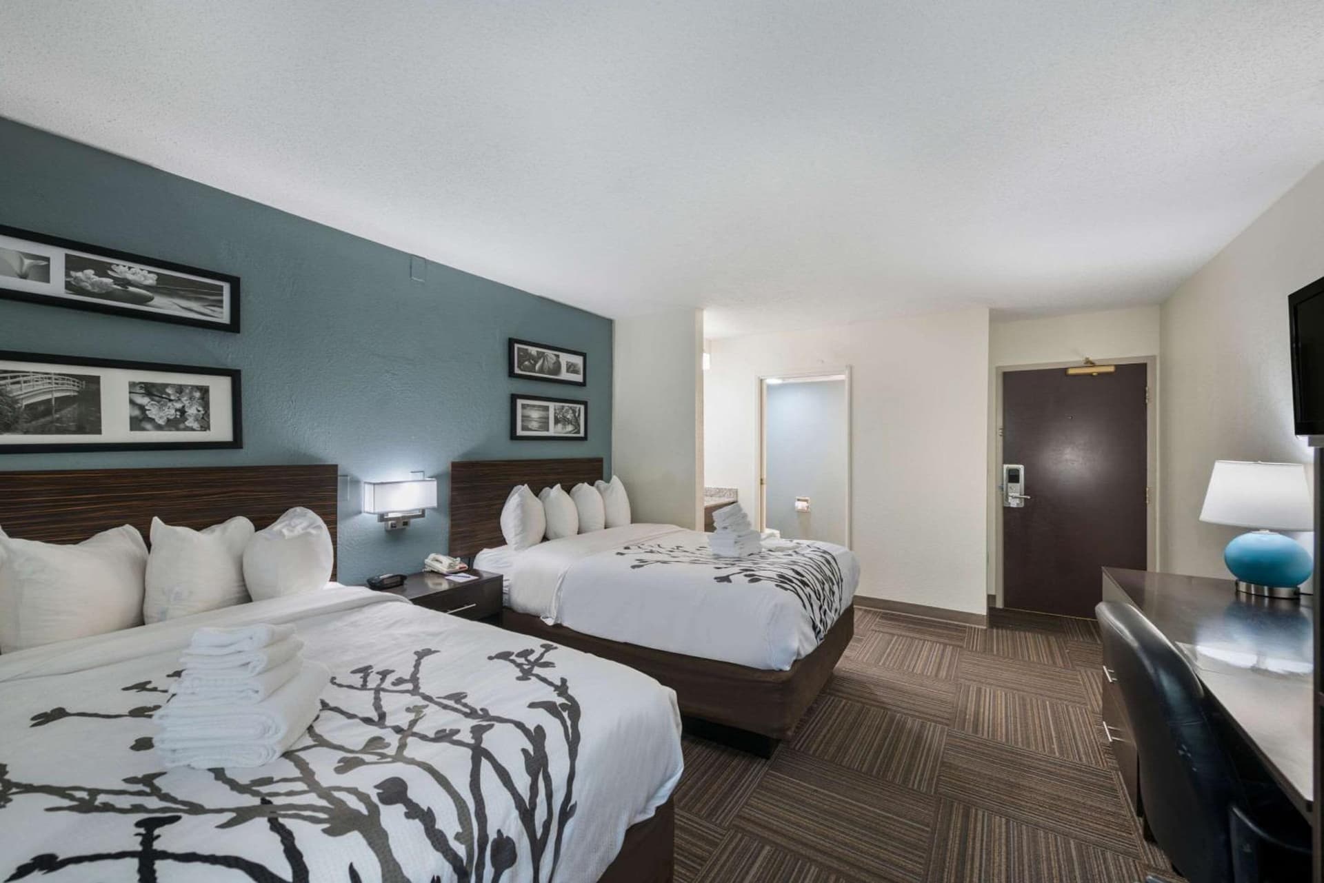 Sleep Inn & Suites Chesapeake - Portsmouth gallery photo in Chesapeake, VA — image 47
