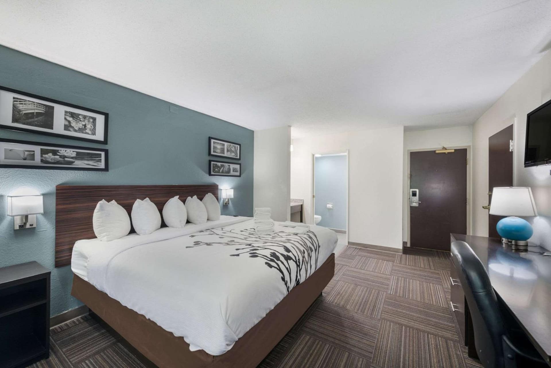 Sleep Inn & Suites Chesapeake - Portsmouth gallery photo in Chesapeake, VA — image 35