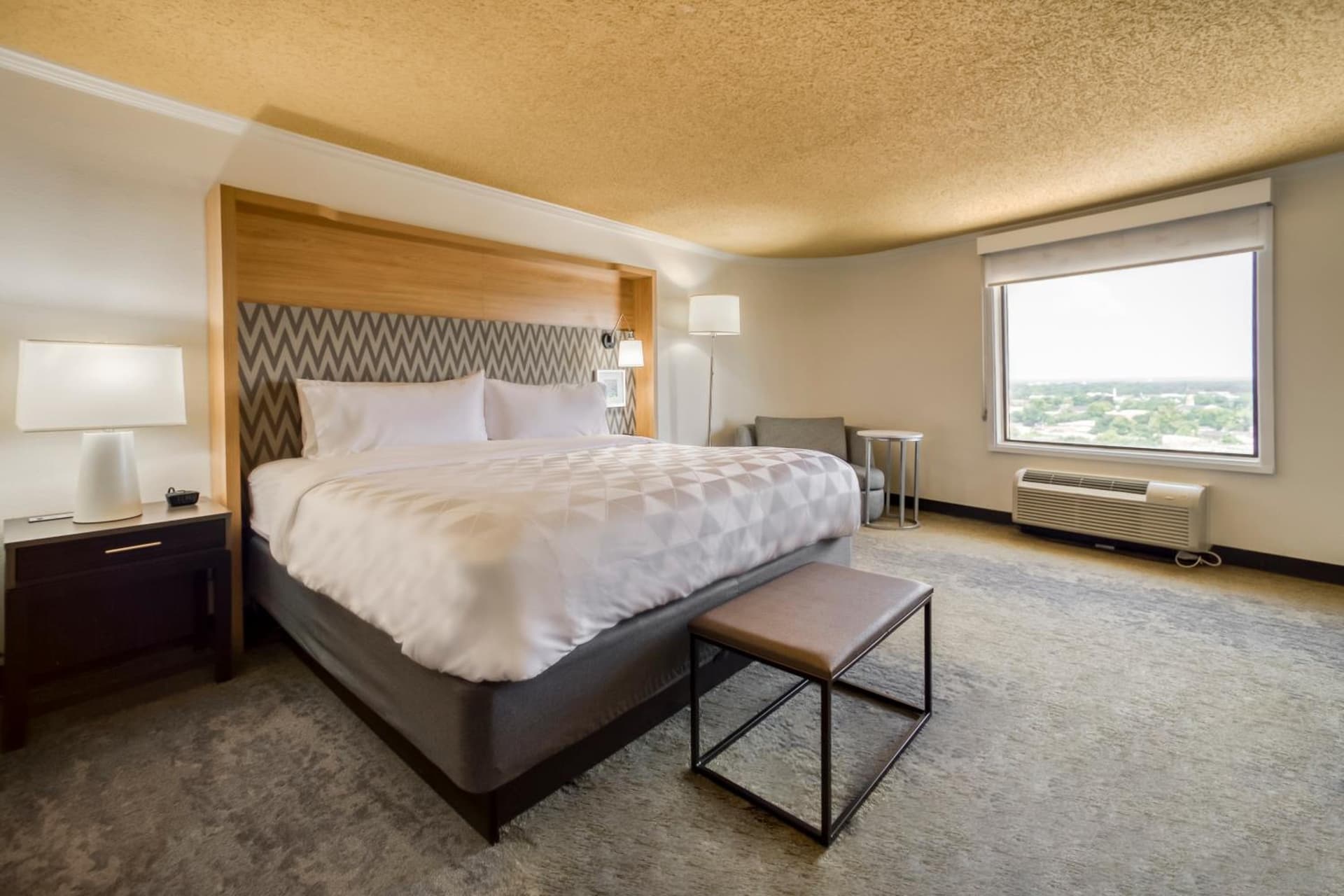 Holiday Inn Mobile Downtown Historic District by IHG gallery photo in Mobile, AL — image 55