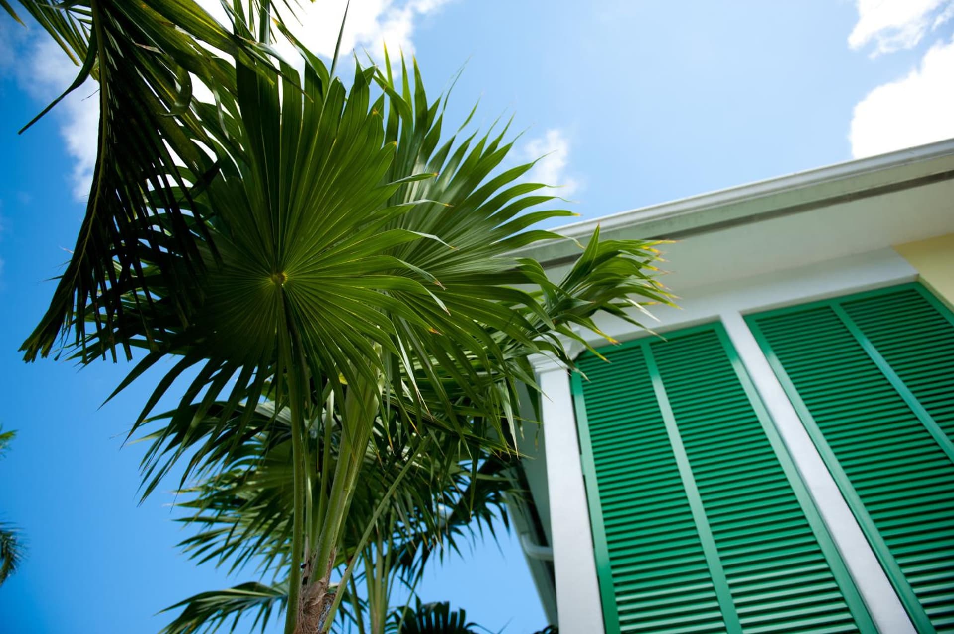 Almond Tree Inn - Adults Only exterior or lobby in Key West, FL — main listing photo