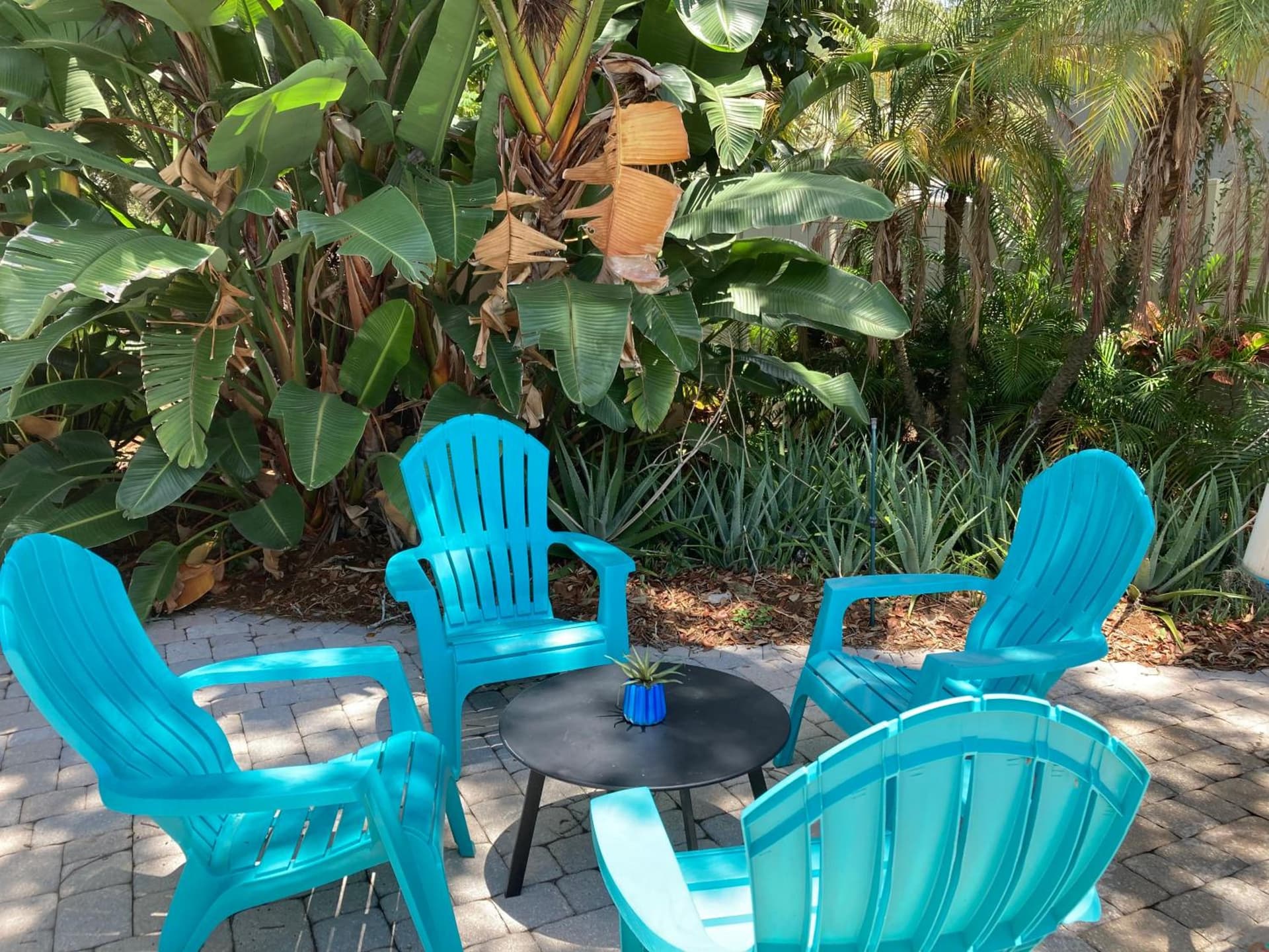 3Gulls Inn Ozona-Boutique Hotel-Steps from Restaurants & Brewery-SwimSpa Pool-Pet Friendly gallery photo in Palm Harbor, FL — image 37