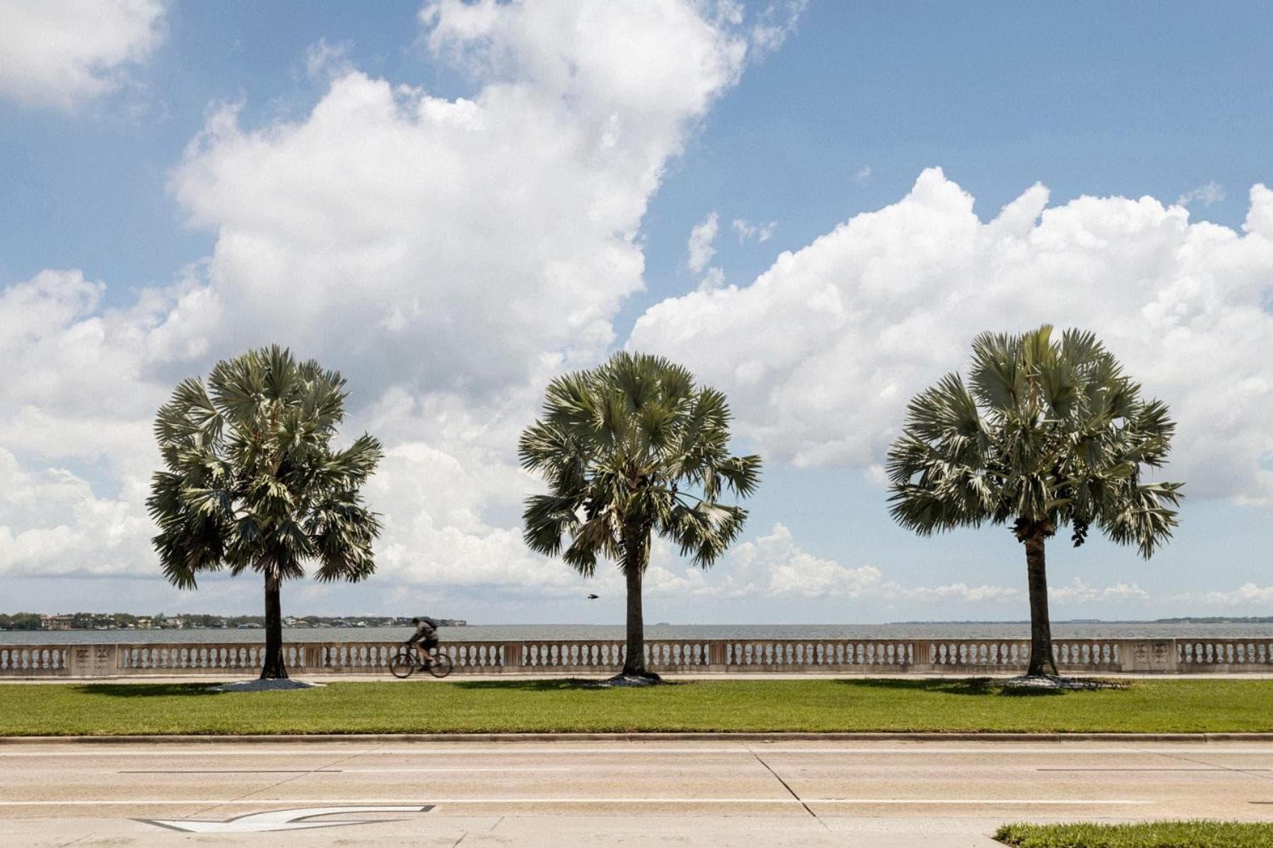 ROOST Tampa gallery photo in Tampa, FL — image 16