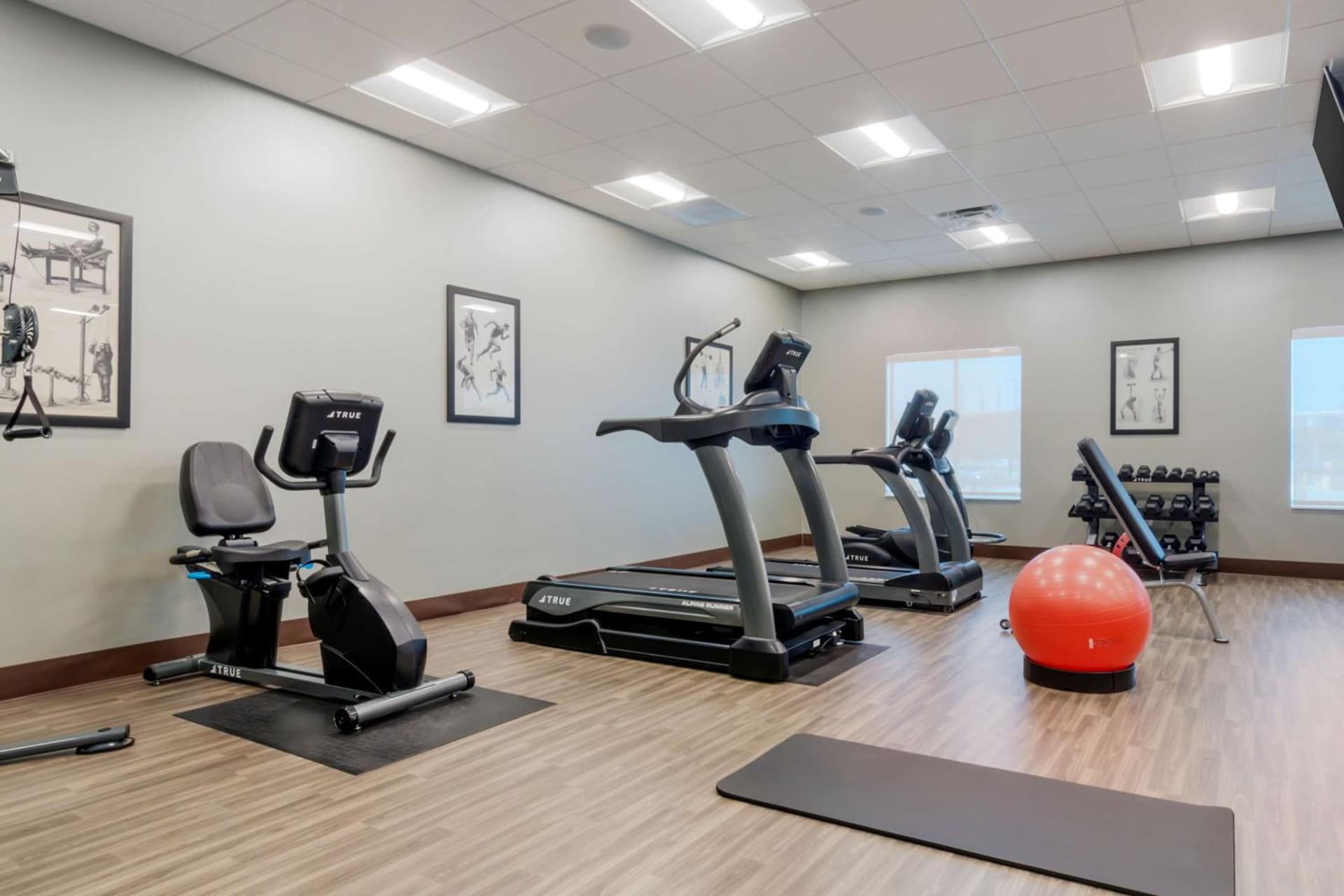 Hyatt Select St Louis Airport gallery photo in Saint Louis, MO — image 19