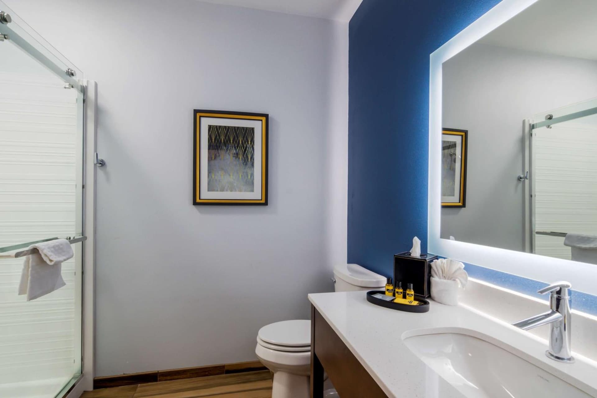 Hyatt Select St Louis Airport gallery photo in Saint Louis, MO — image 13