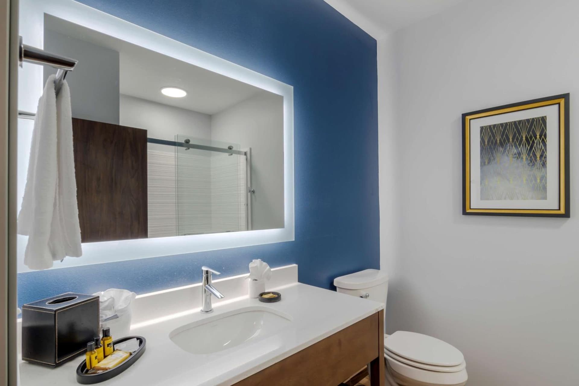 Hyatt Select St Louis Airport gallery photo in Saint Louis, MO — image 11