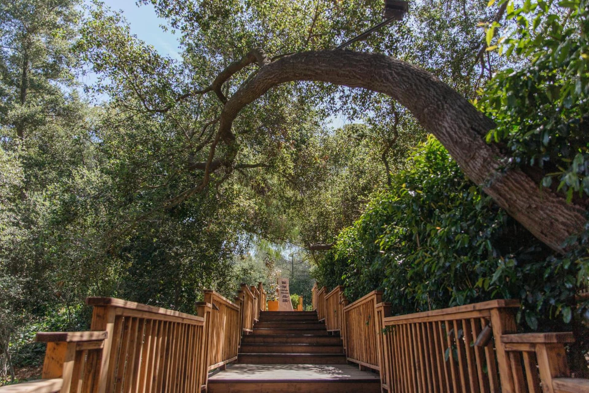 CALAMIGOS RANCH Resort & Spa gallery photo in Malibu, CA — image 203