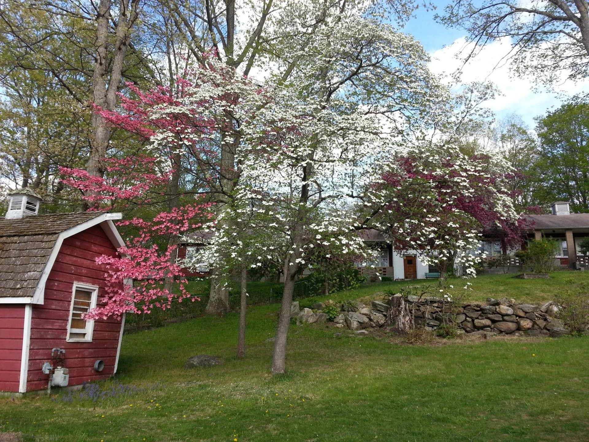 Heidi's Inn gallery photo in Brewster, NY — image 10