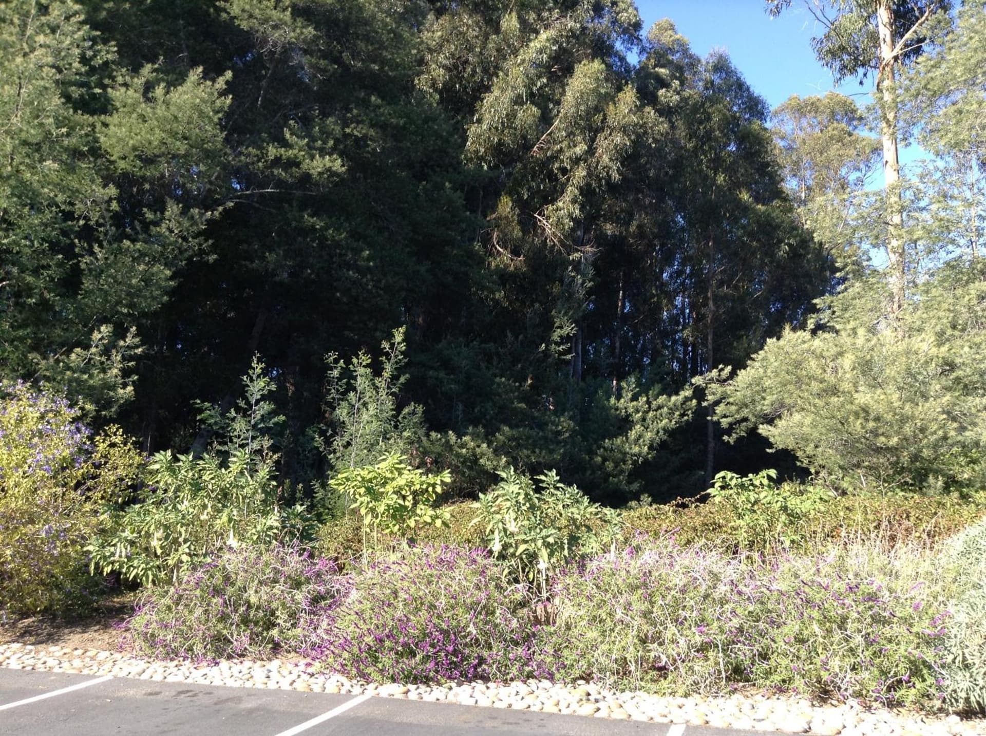 The Inn at Pasatiempo gallery photo in Santa Cruz, CA — image 22