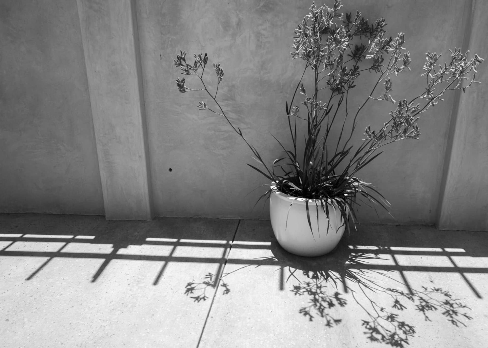 Casa Ojai Inn gallery photo in Ojai, CA — image 46