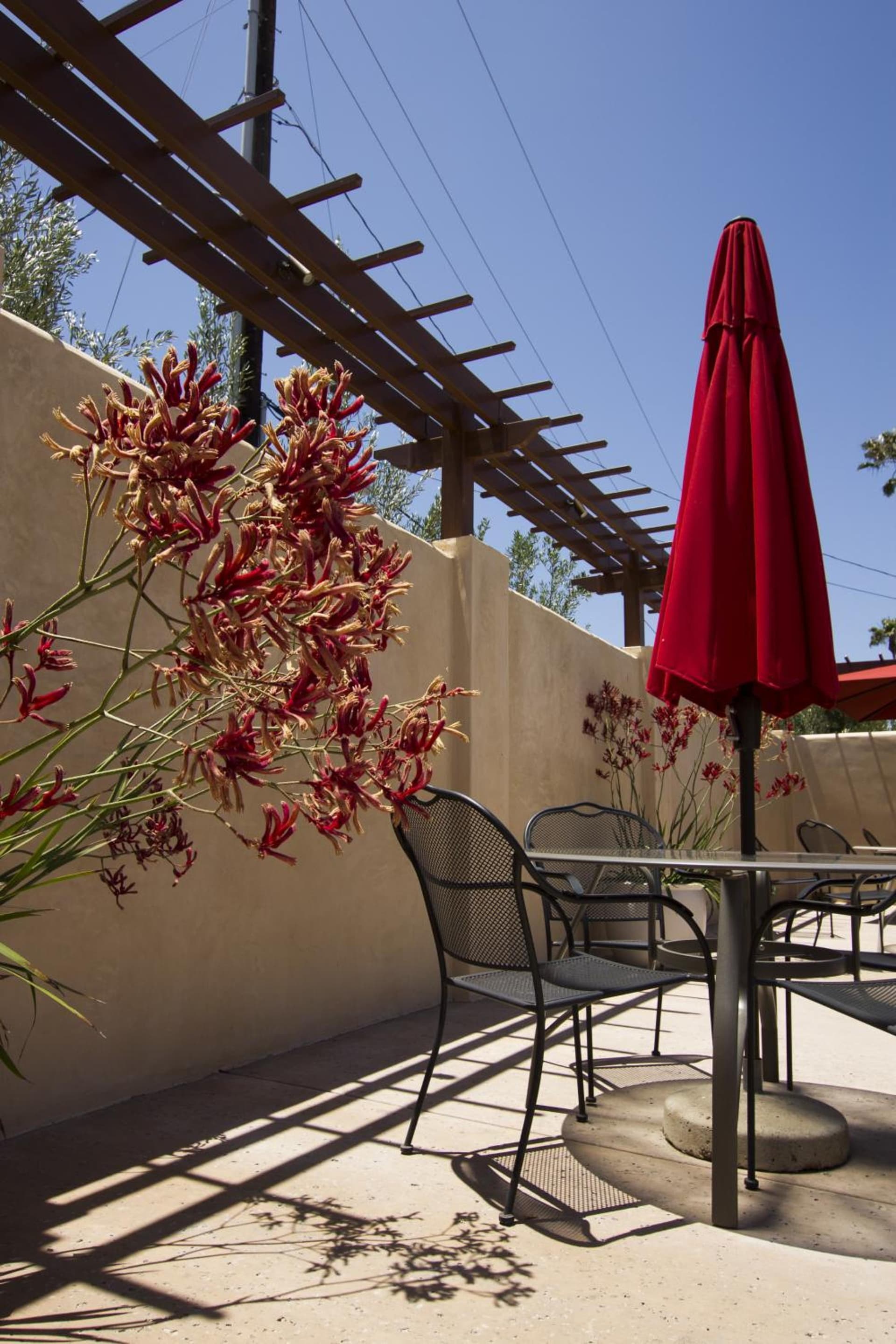 Casa Ojai Inn gallery photo in Ojai, CA — image 61